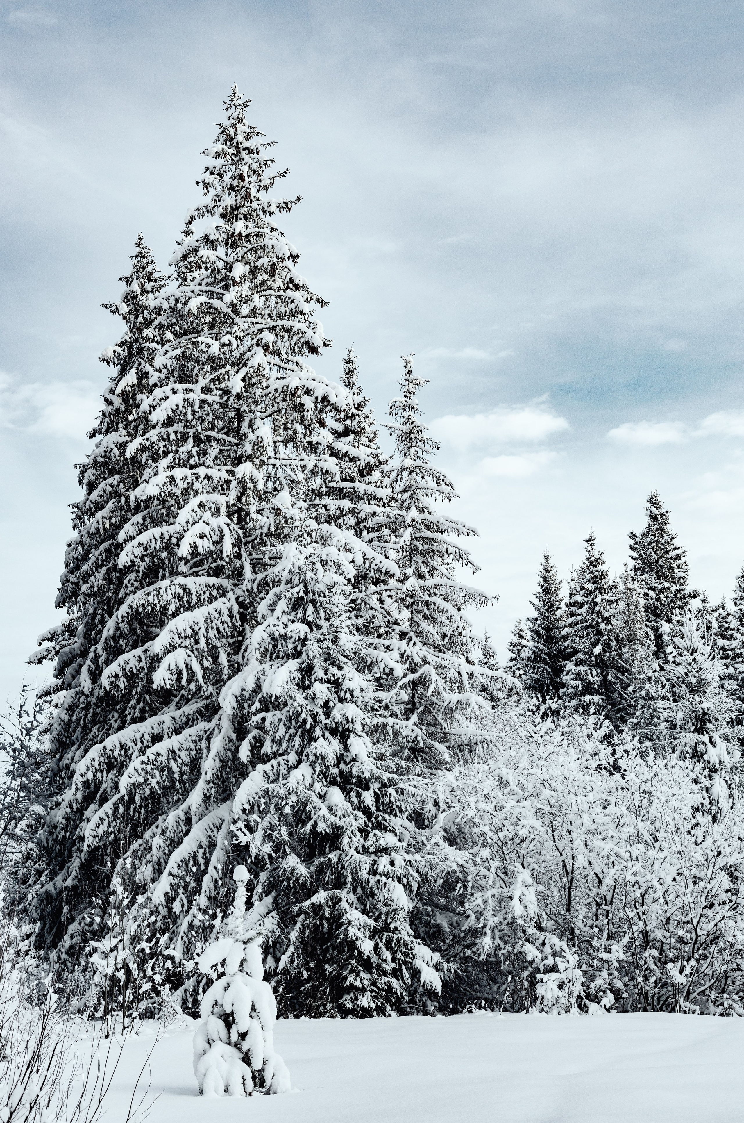 Пейзаж. Фотограф Александр Тихонов