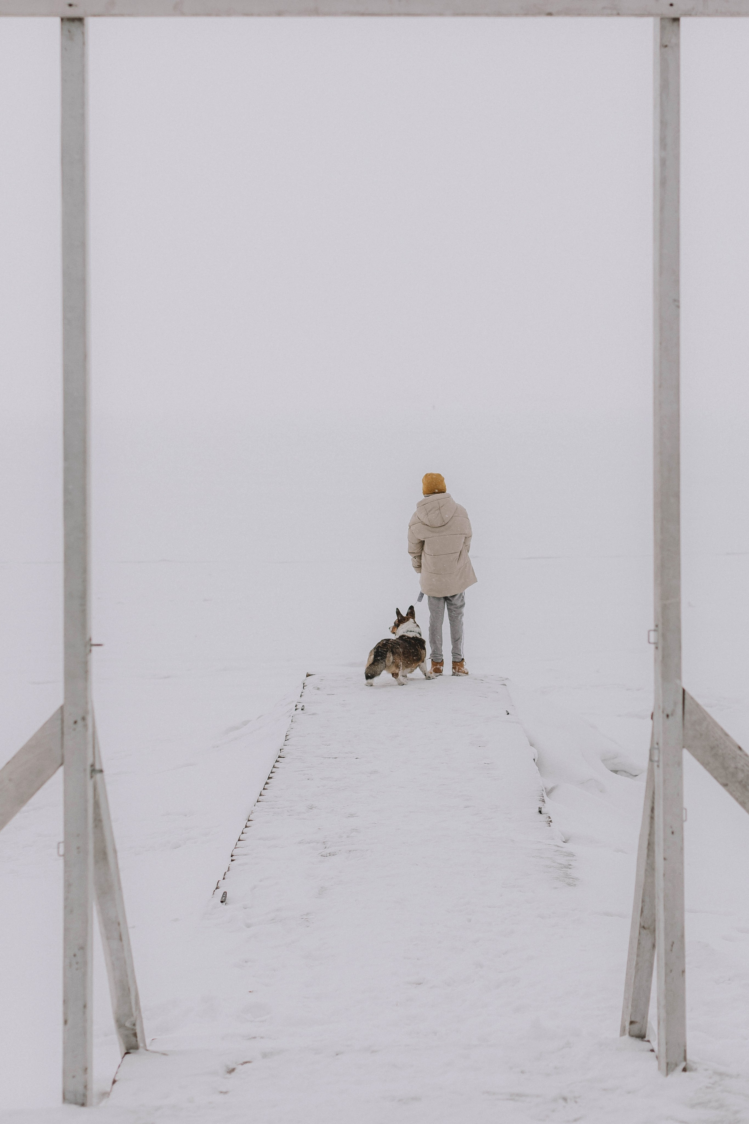Прогулка с корги. Зима. Семейный и детский фотограф в Новосибирске Настя Ковалева