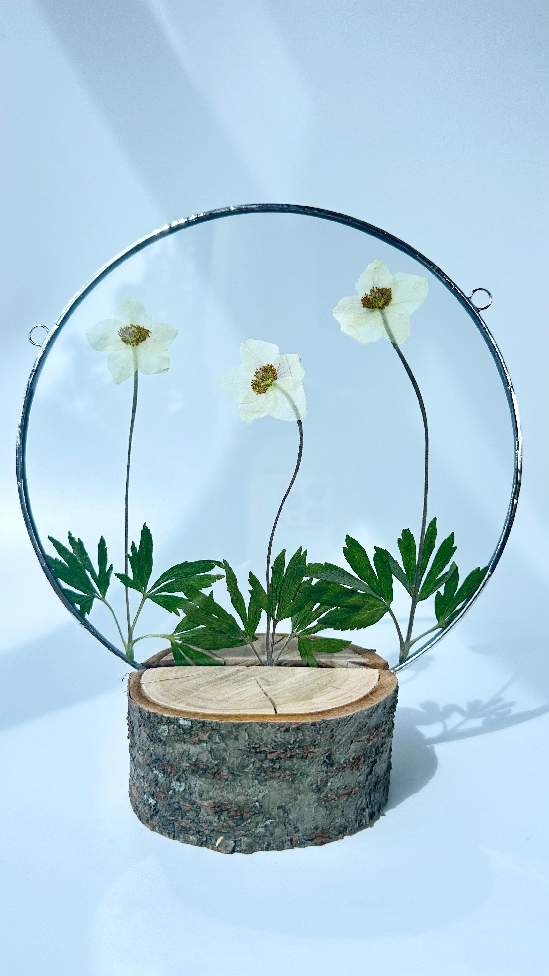 Засушенные цветы в стекле витраж техника тиффани. Гербарий в стекле, интерьерные панно, витражи с сухоцветами в технике тиффани