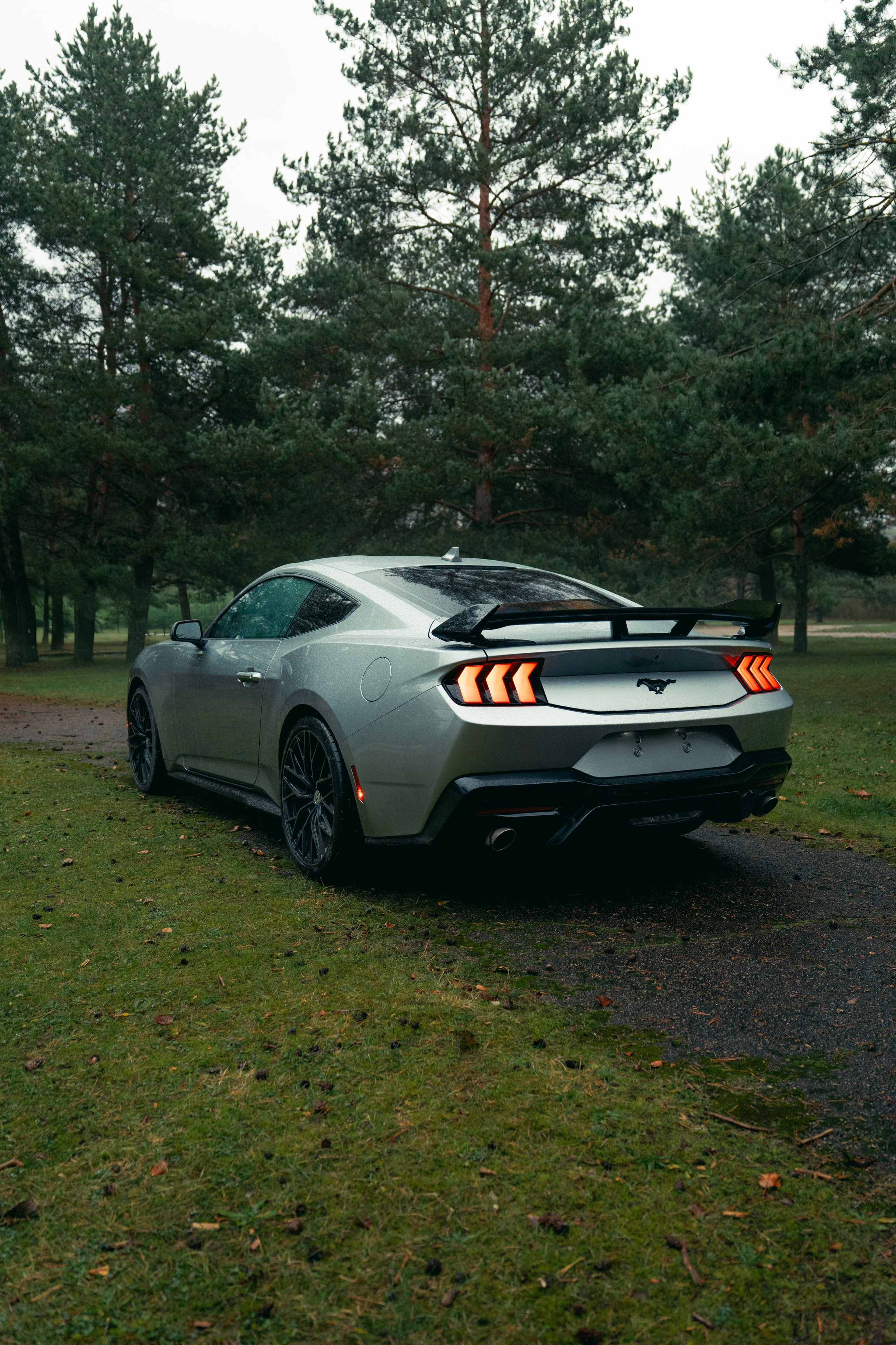 Фотографии Ford Mustang