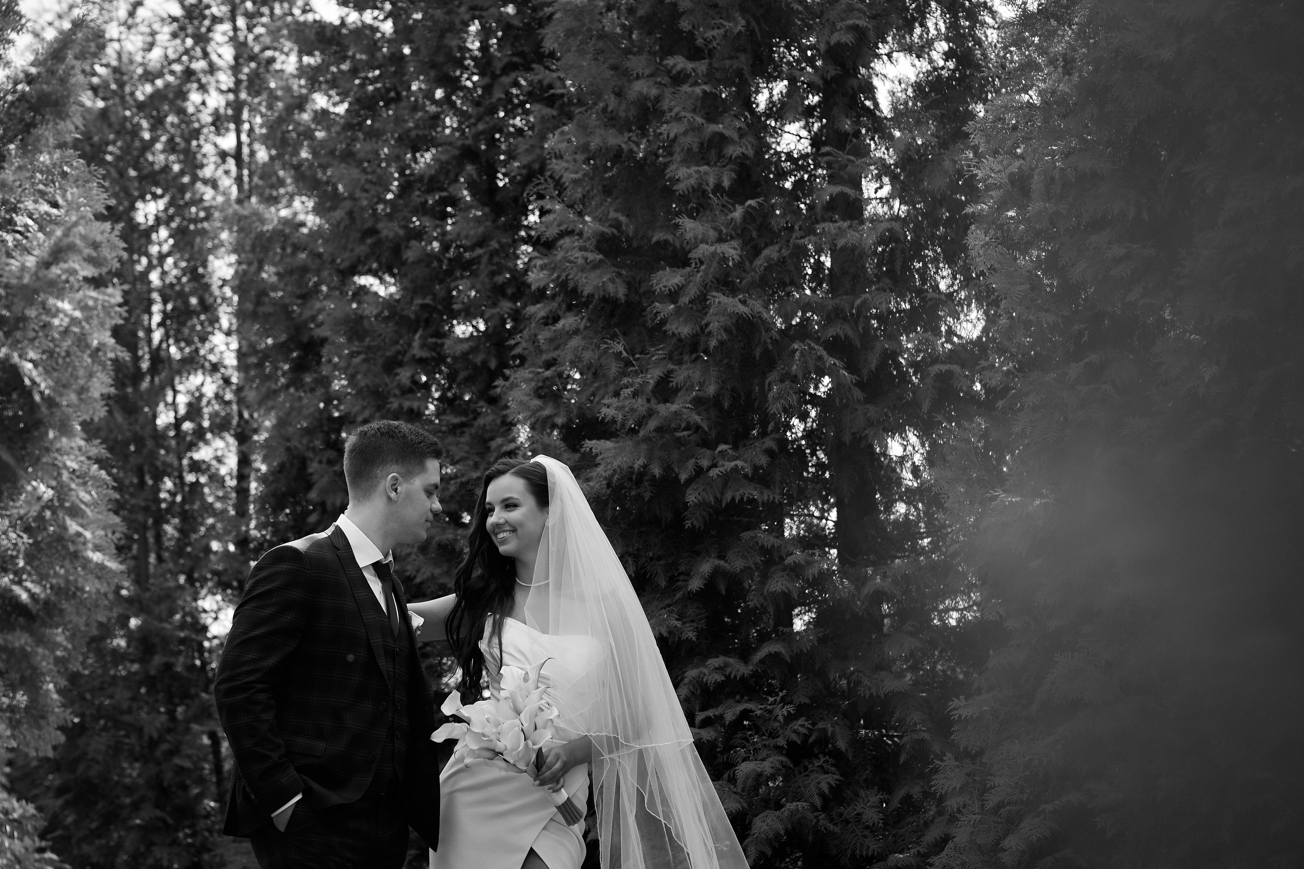 Алина и Владимир. Свадебный фотограф Москва Калуга