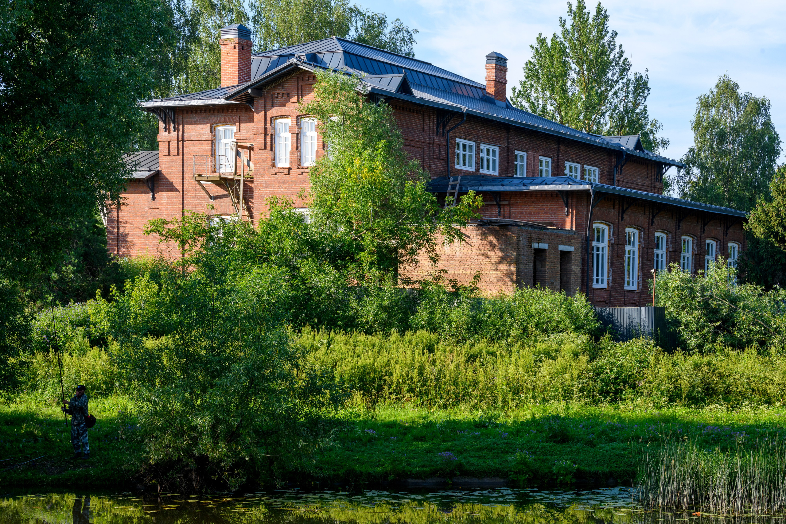Переславль-Залесский. Wildlife photography by Sergey Puponin