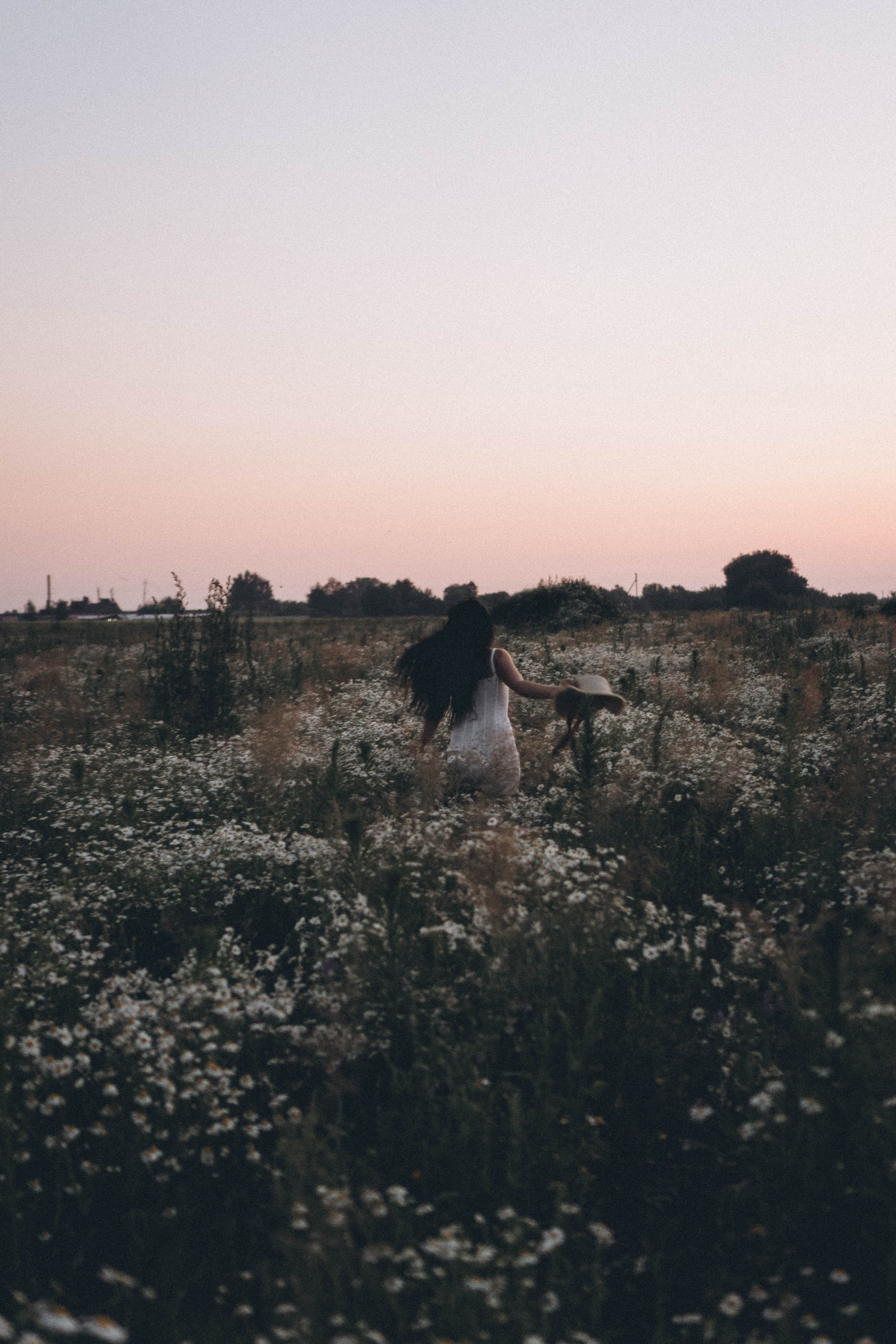 Ромашковое поле. Профессиональный фотограф, Санкт-Петербург — Виктория Богомолова