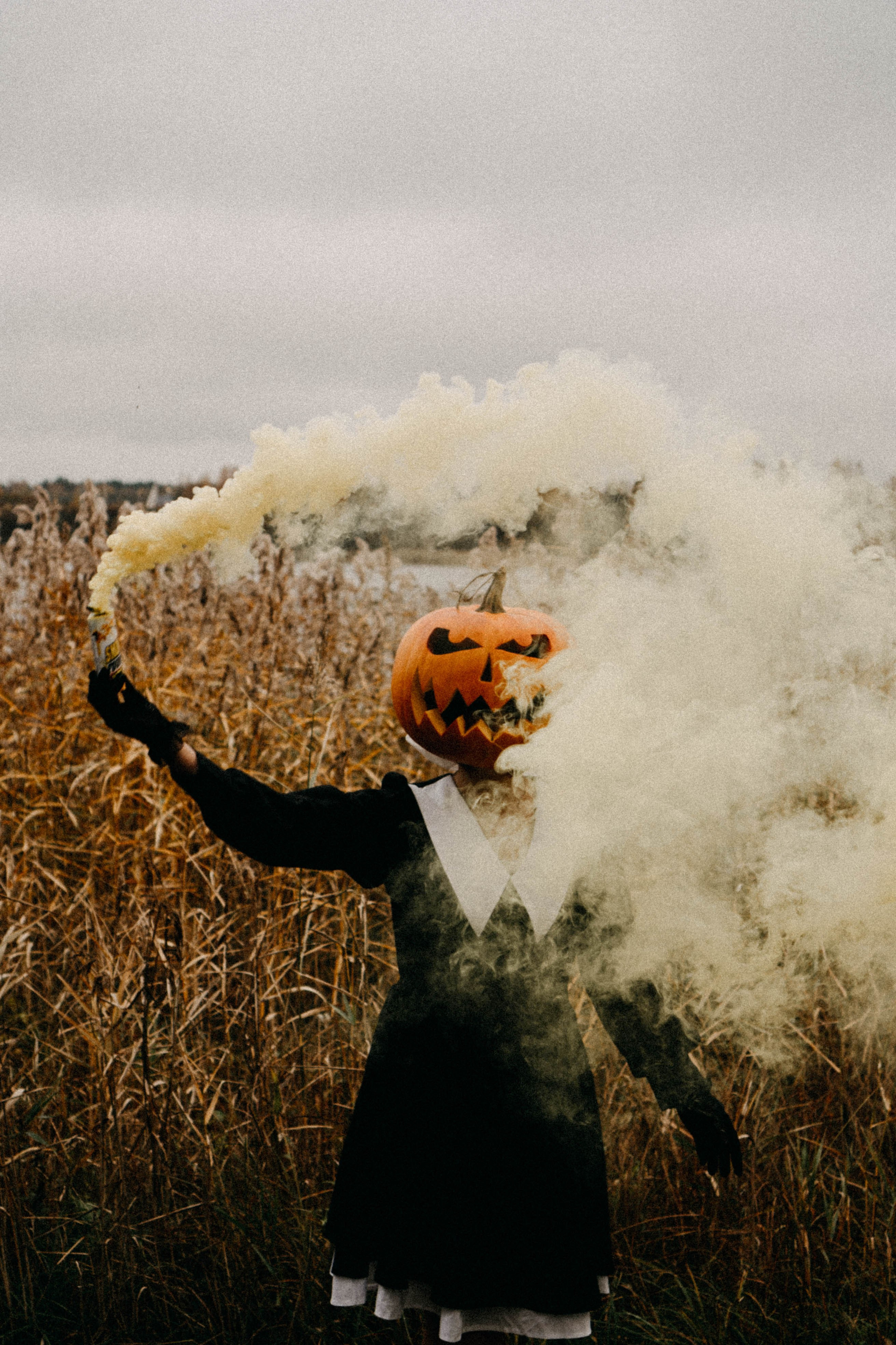 Осеняя. Профессиональный фотограф, Санкт-Петербург — Виктория Богомолова