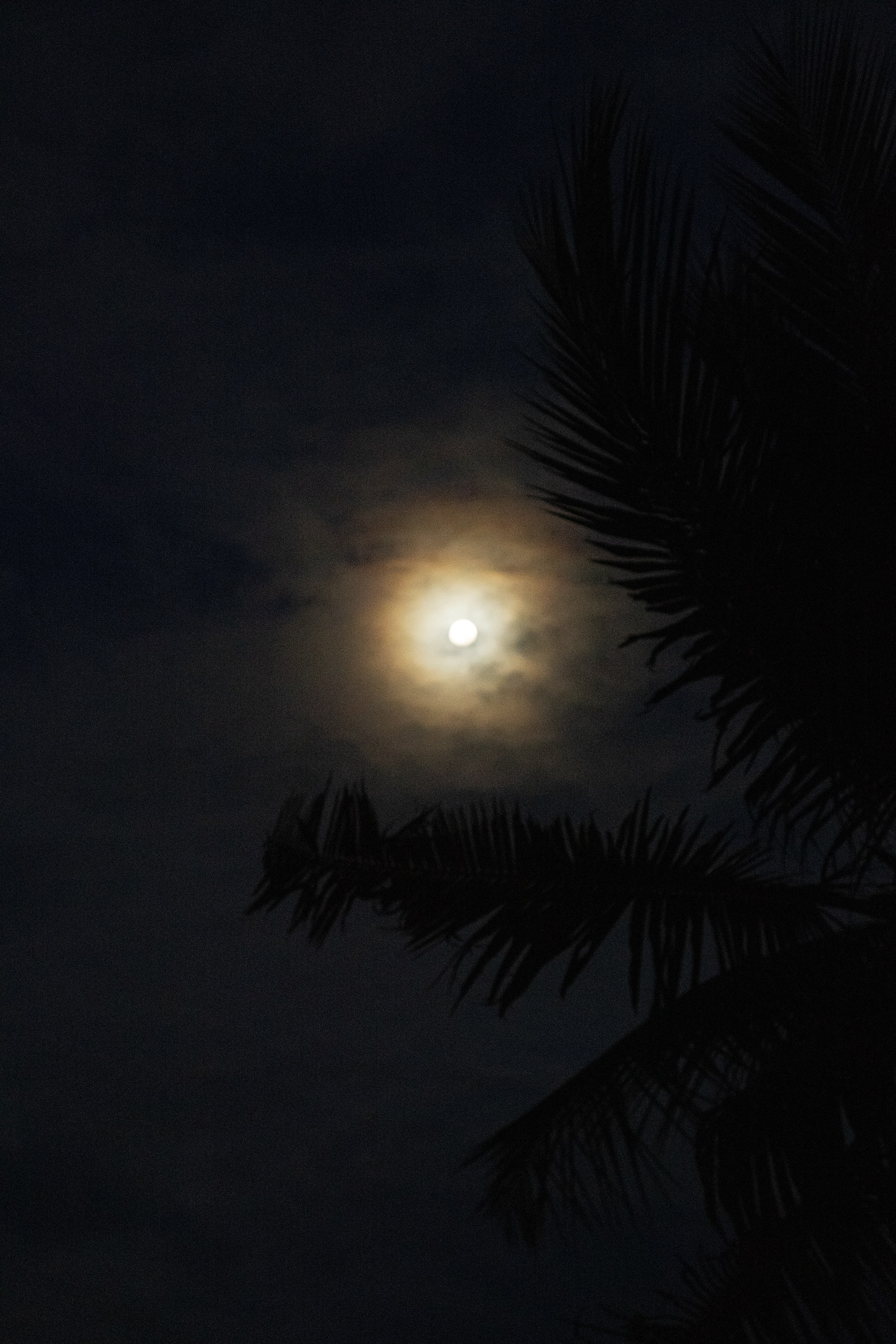 Amazing Ceylon. Art Рhotographer Russia/Moscow