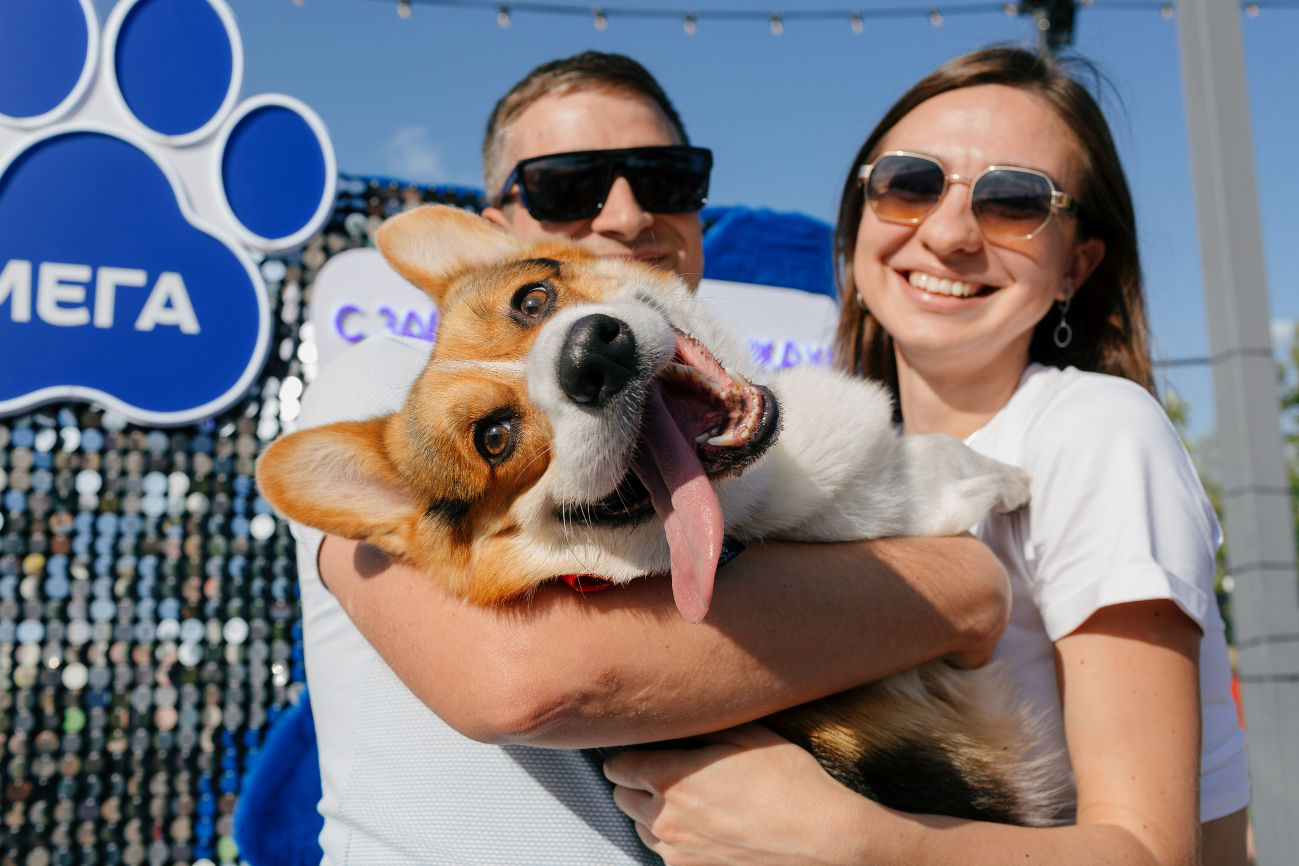 Dog Fest 2024. Главная