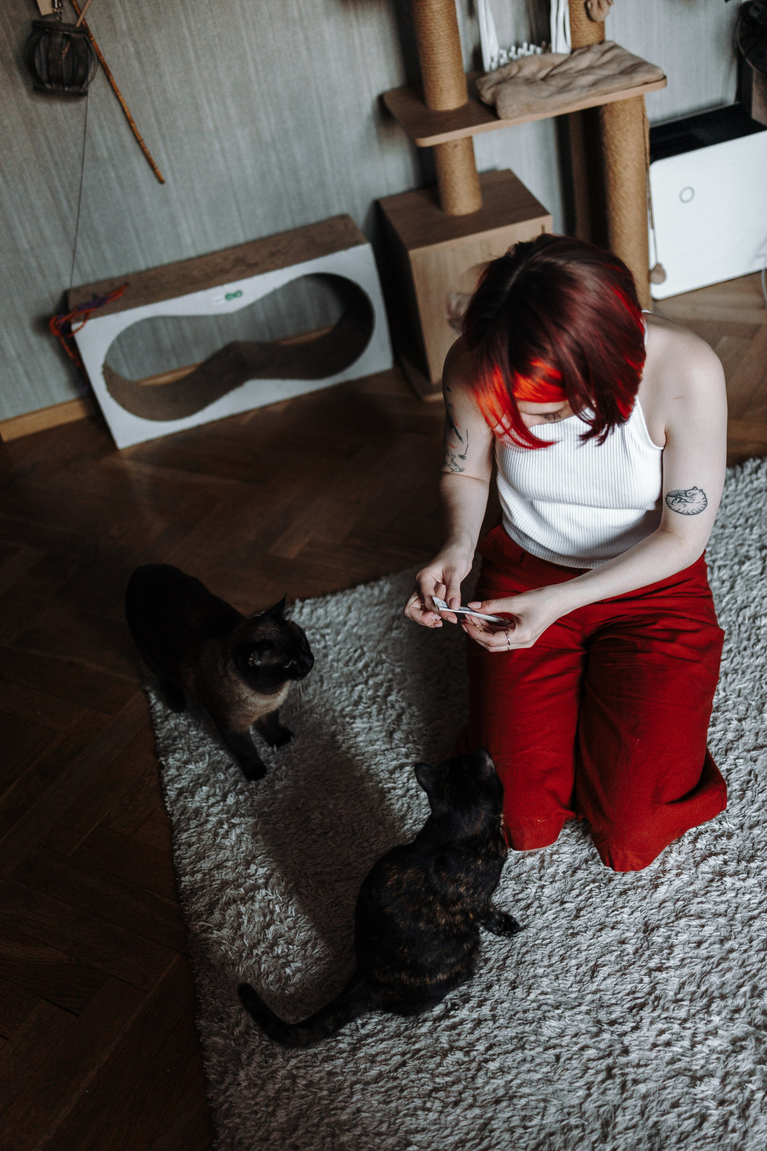 Саша и ее хвосты. Фотограф — Анималист | Санкт-Петербург