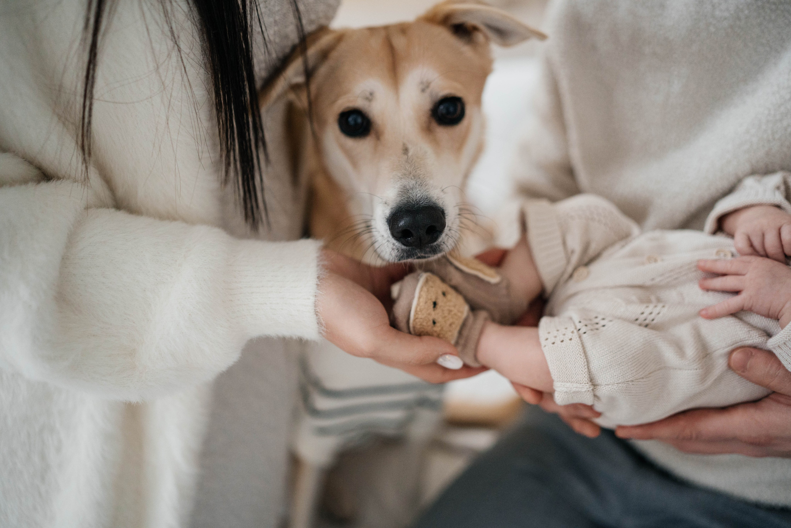 Съемки с животными. Https://instagram.com/ana.stasia.n