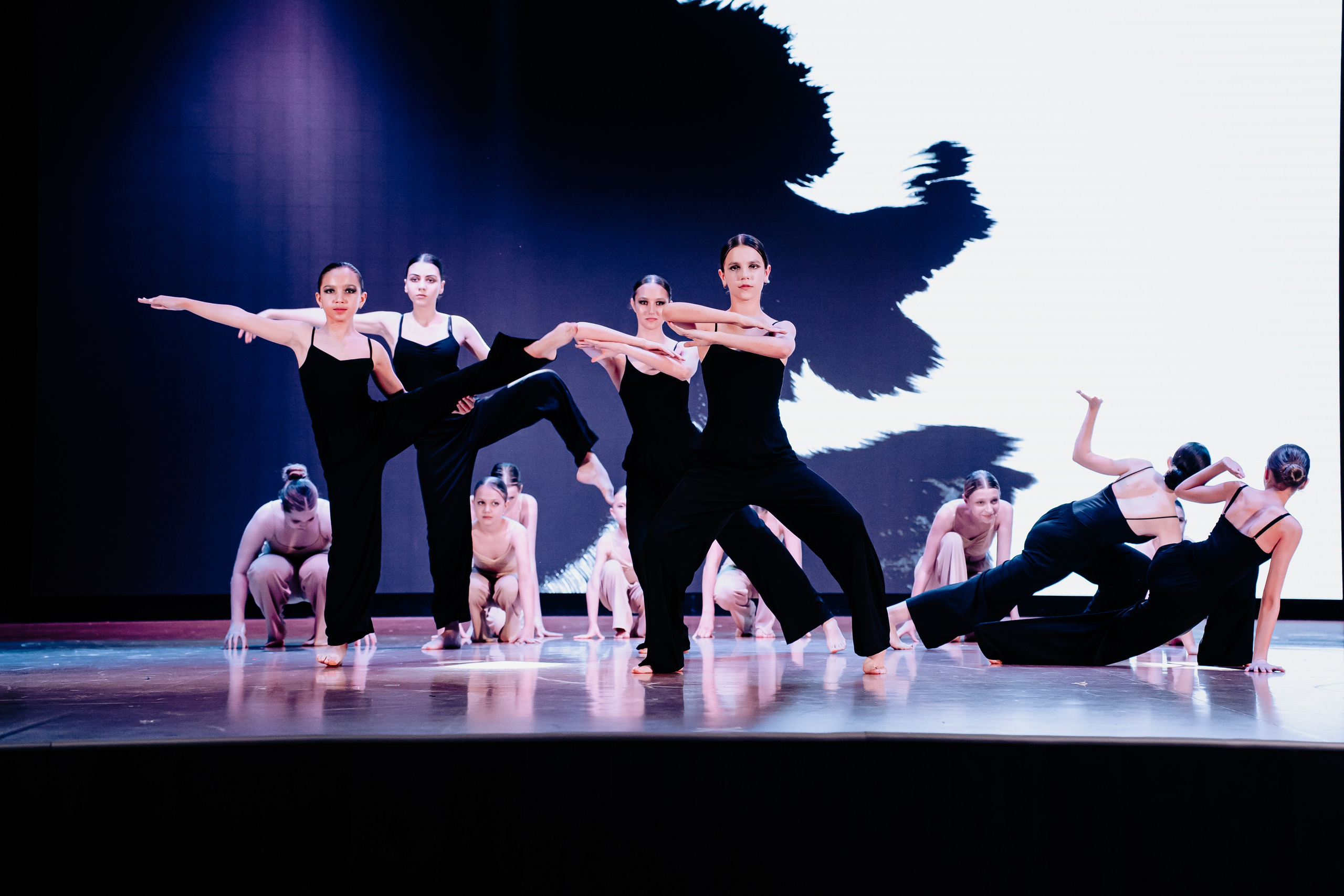 Концертная форма. Фото