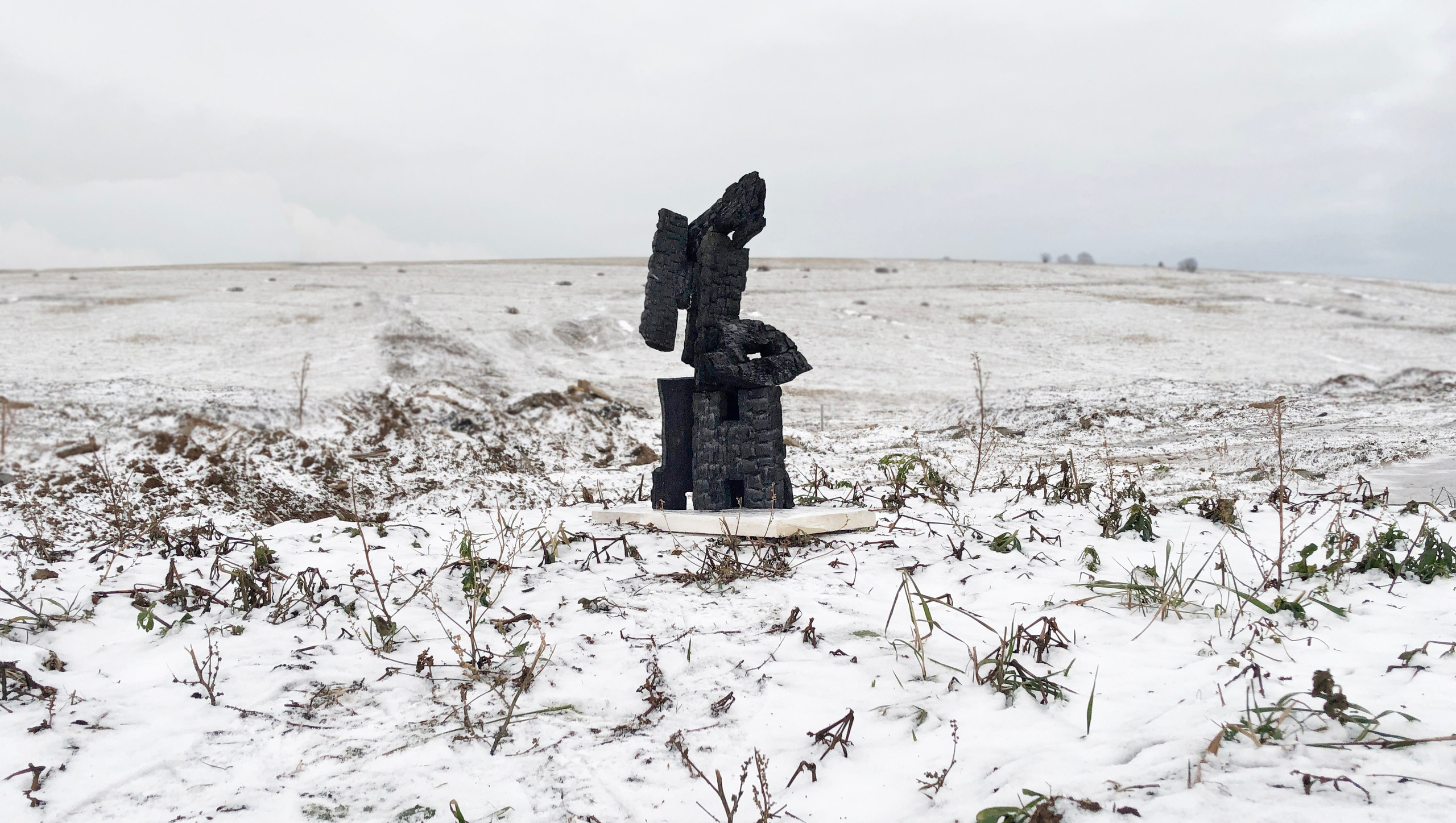 Художник  Елена Алексеева (Alpha_Vita). СОАВТОРЫ