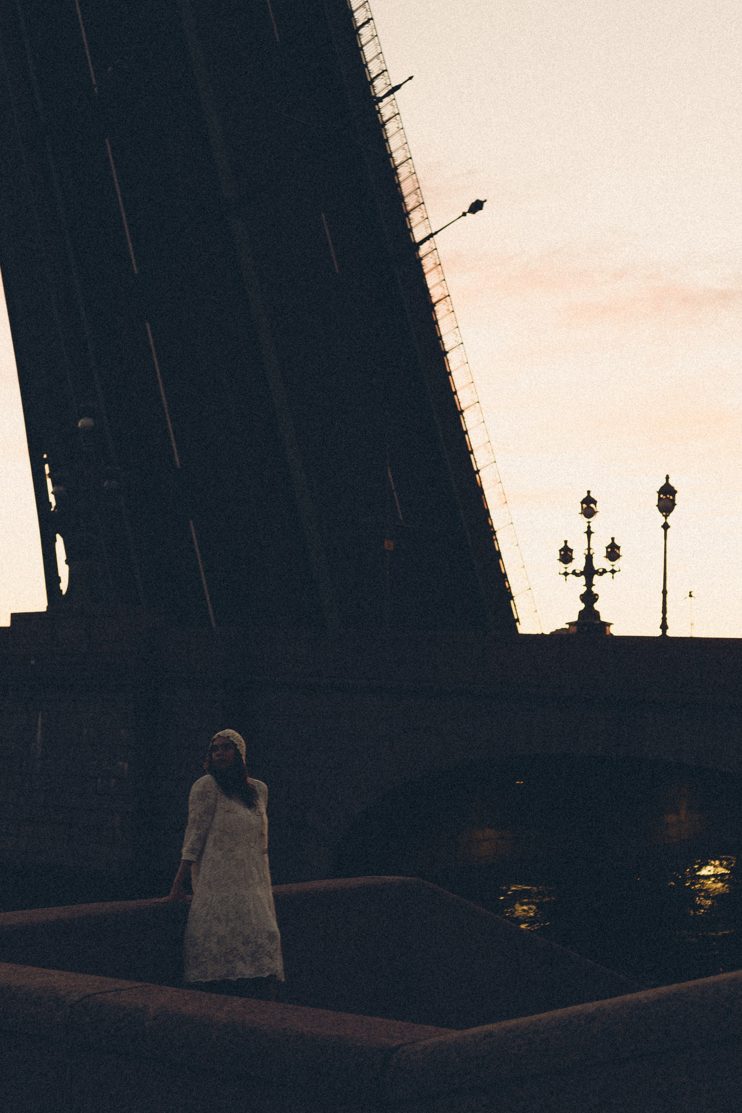 РАССВЕТ С РАЗВОДНЫМИ МОСТАМИ. Профессиональный фотограф, Санкт-Петербург — Виктория Богомолова