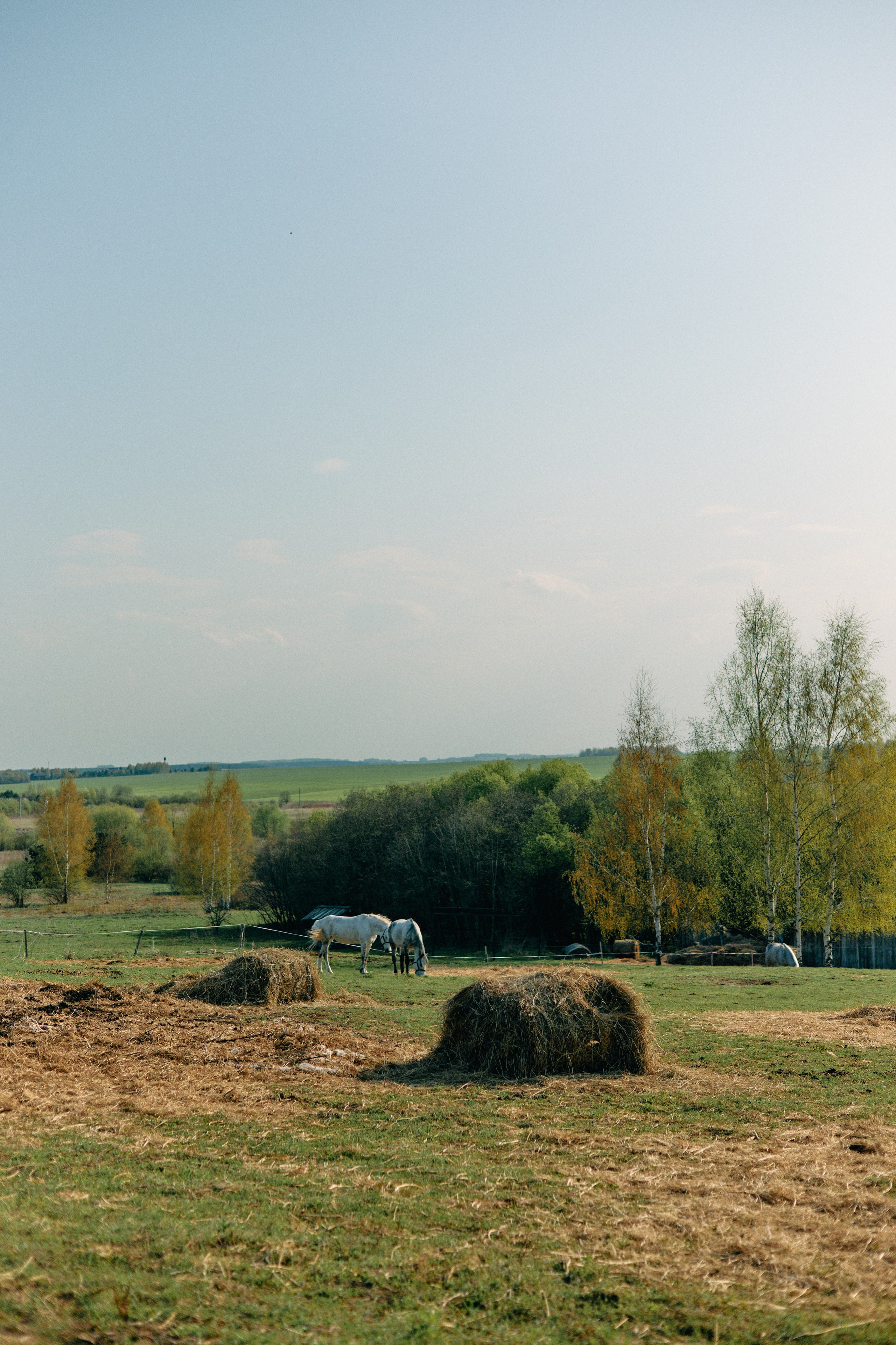 Бутик-отель Поле летом. Профессиональный Фотограф во Владимире, в Москве и в Суздале — Полина Романычева