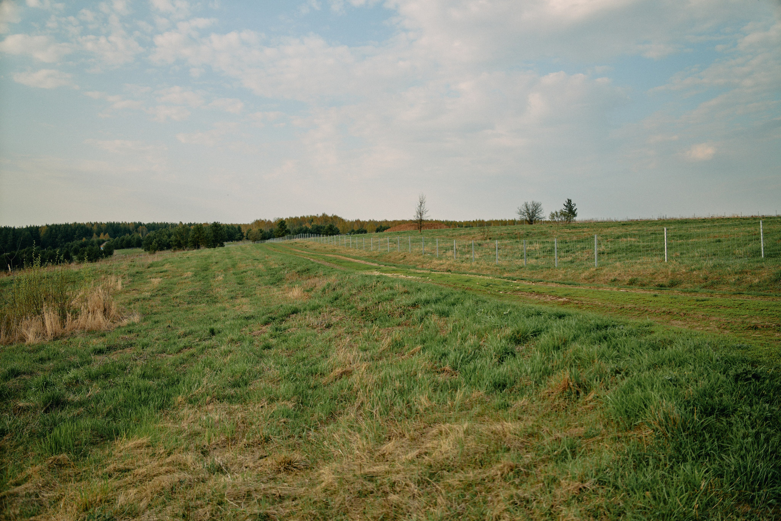 Бутик-отель Поле летом. Профессиональный Фотограф во Владимире, в Москве и в Суздале — Полина Романычева