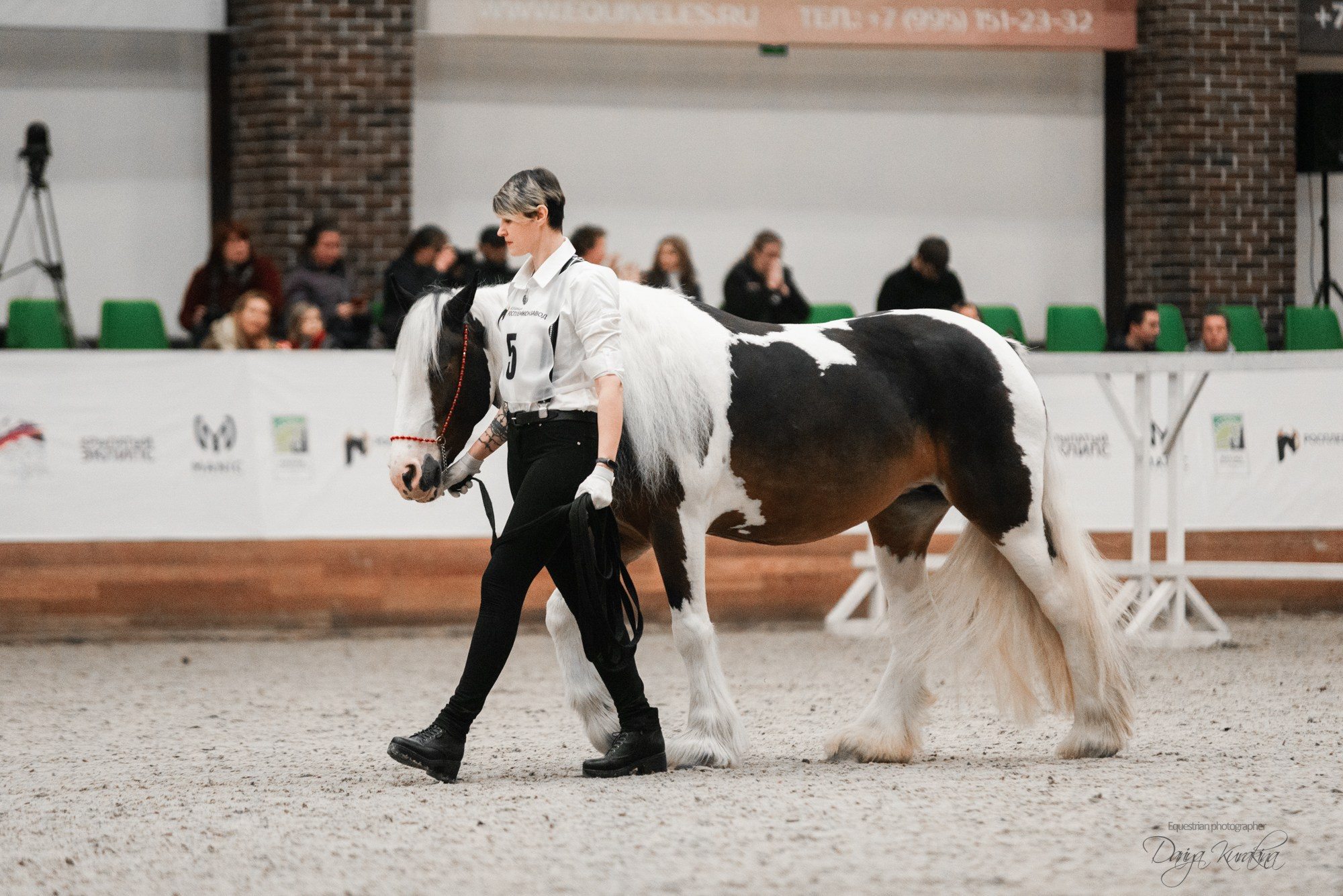 8-я международная выставка Конная Россия. Конный фотограф Куракина Дарья • Фотосессии с лошадьми