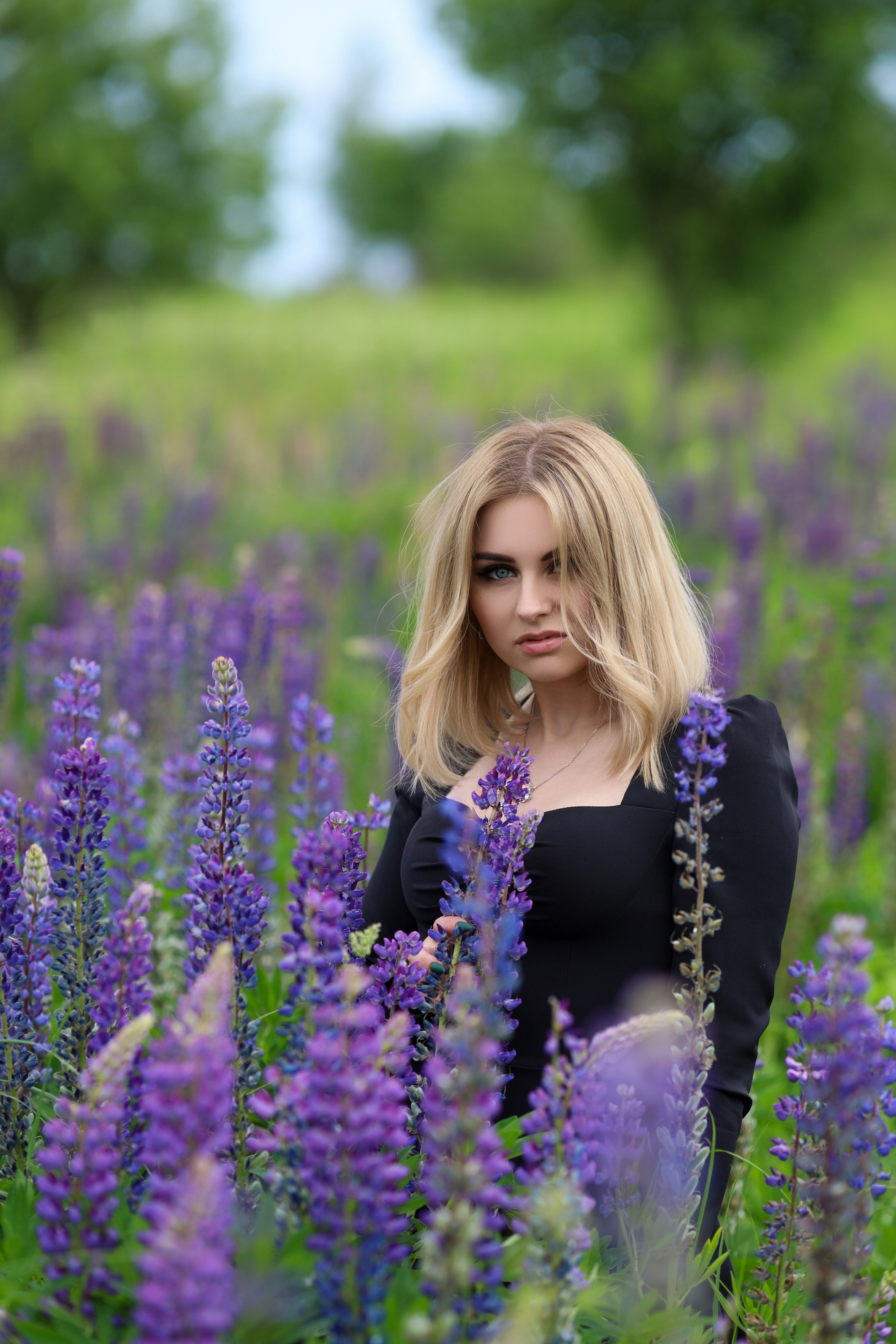 Фира. Люпины. Главная