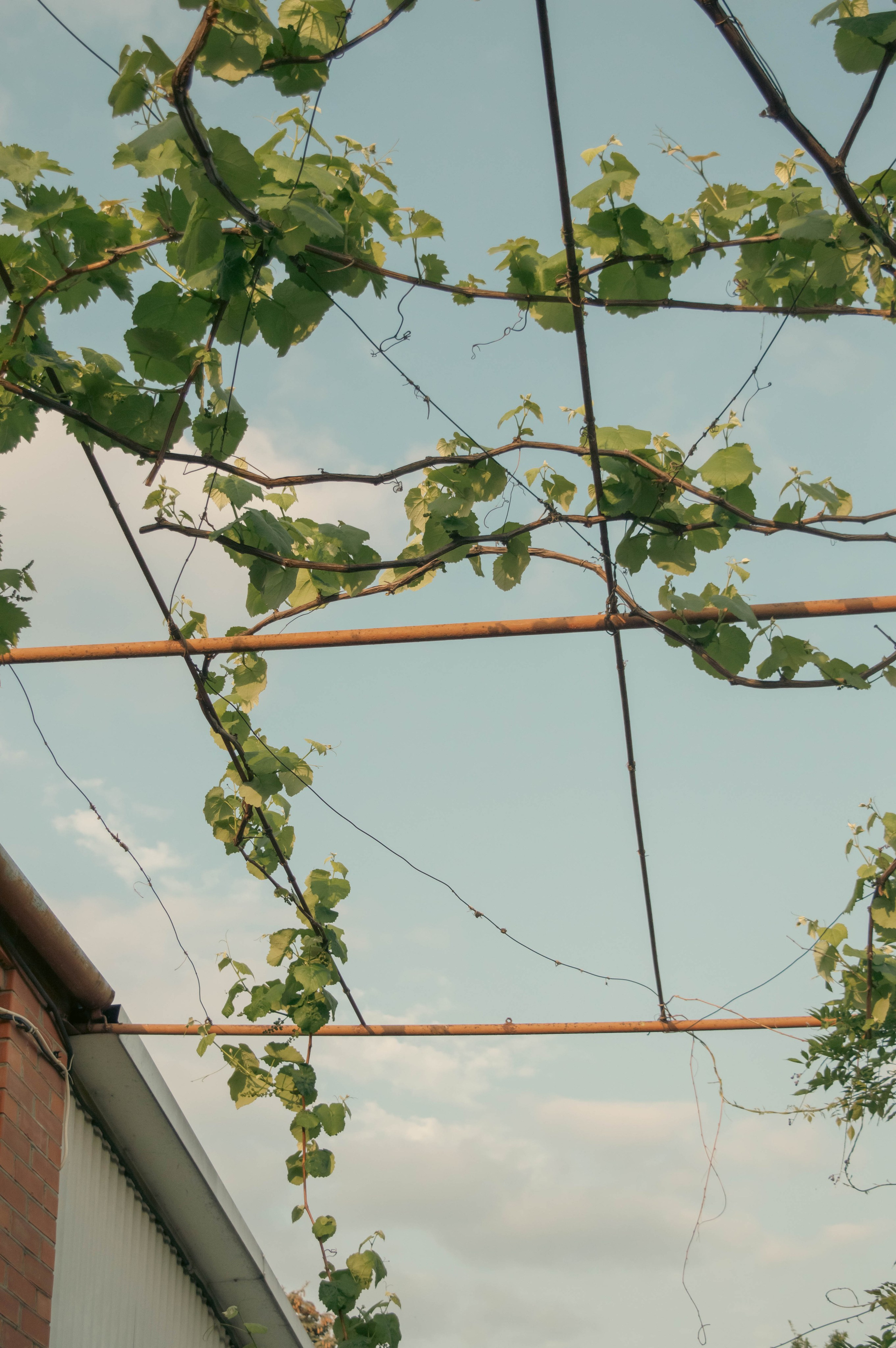 Майская Кубань. Фотограф Анастасия Лощакова в Москве