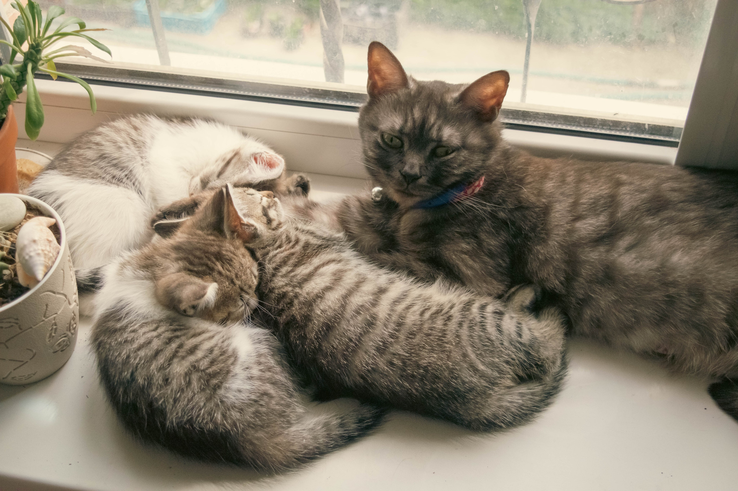 Майская Кубань. Фотограф Анастасия Лощакова в Москве