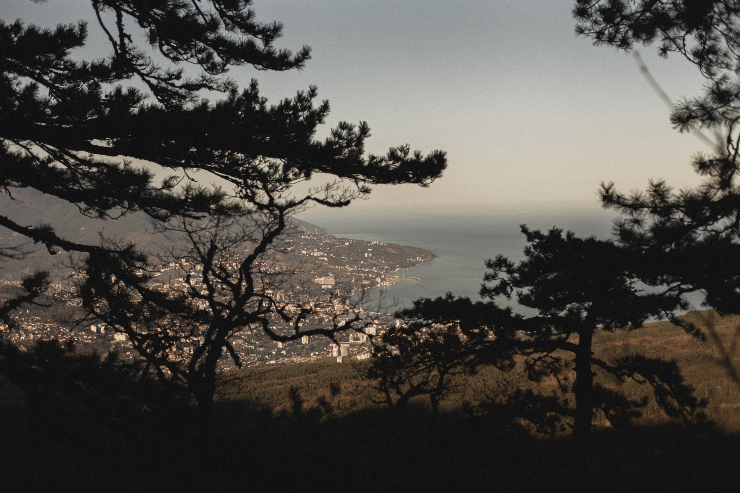 Александр и Влада. Фотограф в Севастополе и Крыму Артем Волобуев