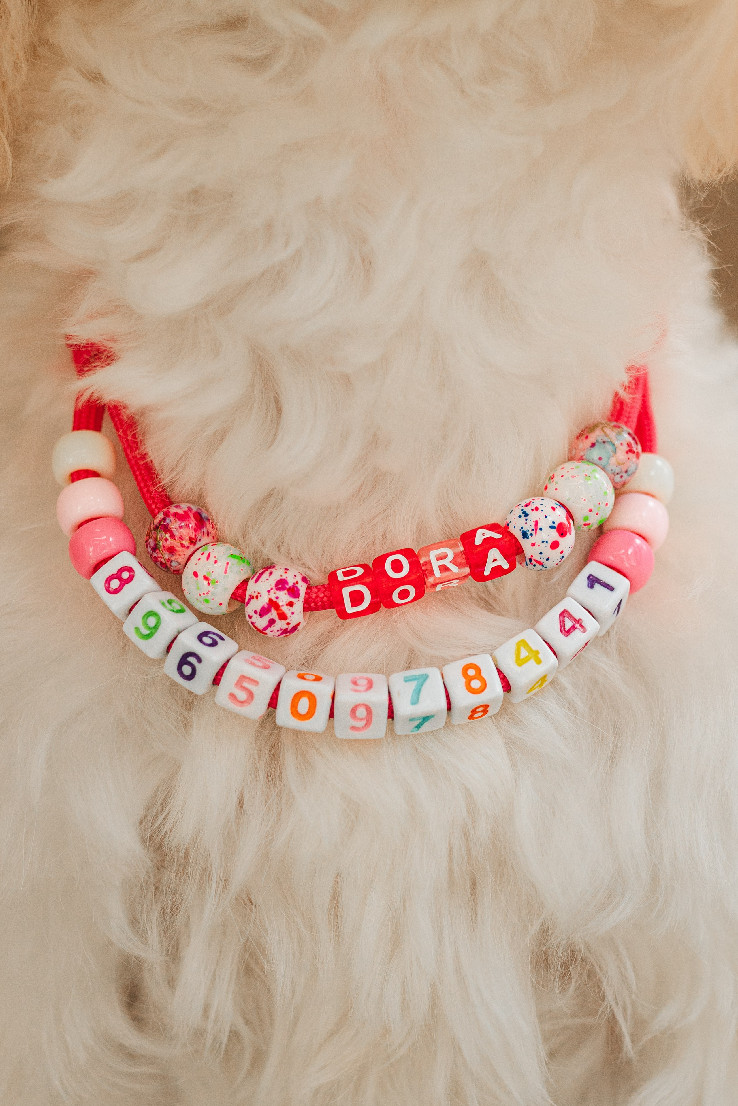 Груминг — салон. Фотограф анималист Осипчикова Мария