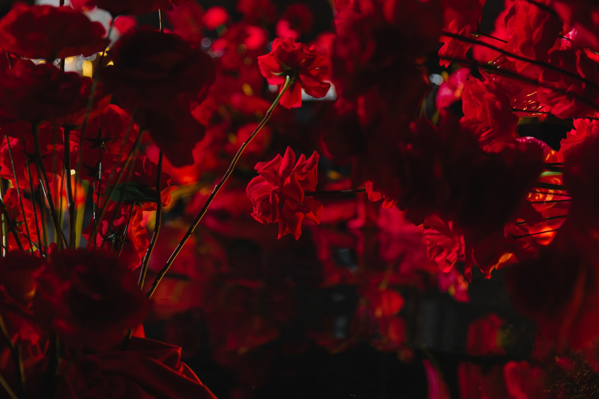 14.09.24 Евгений и Александра. Свадебный организатор Екатеринбург