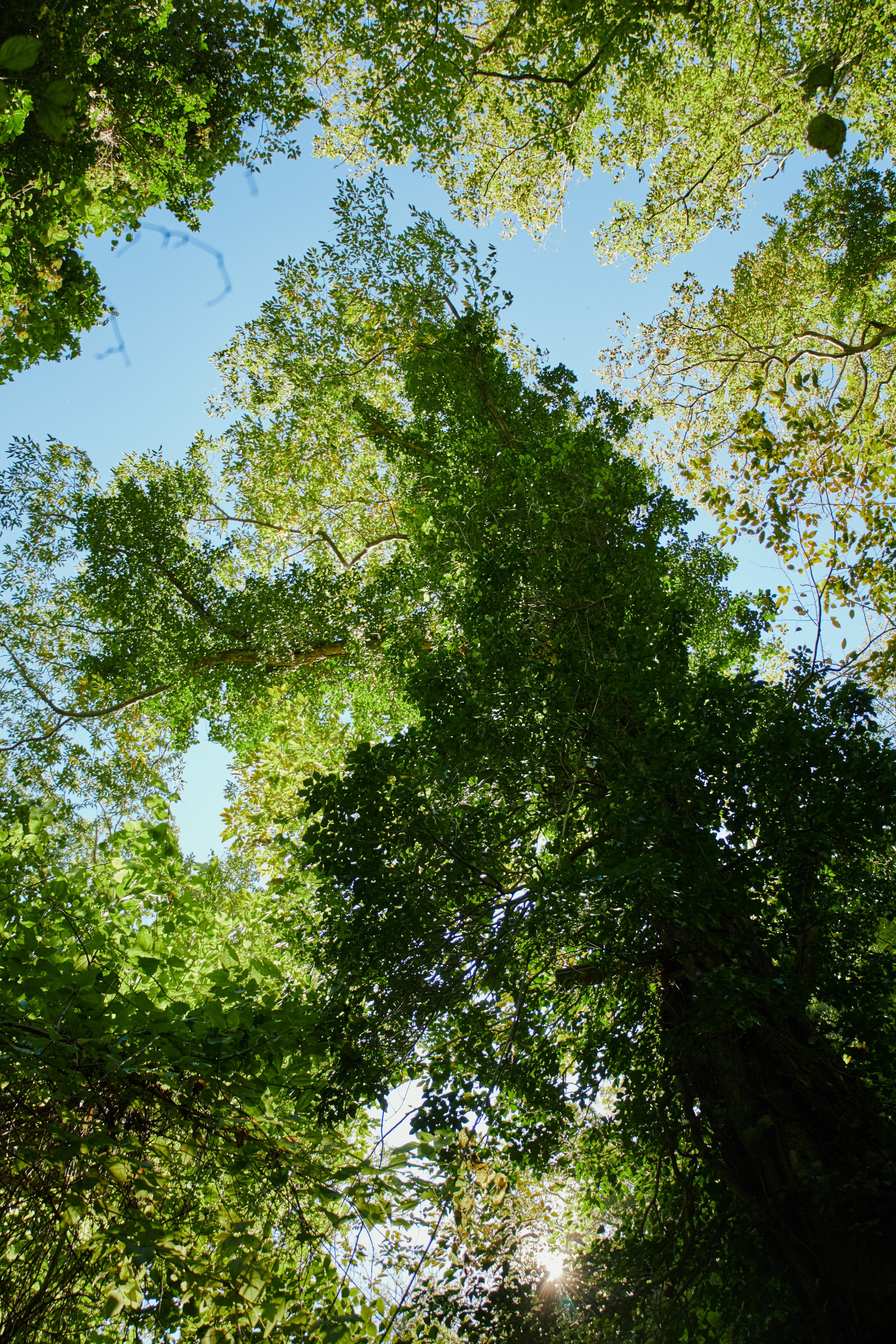 Пейзажи и уличная съёмка