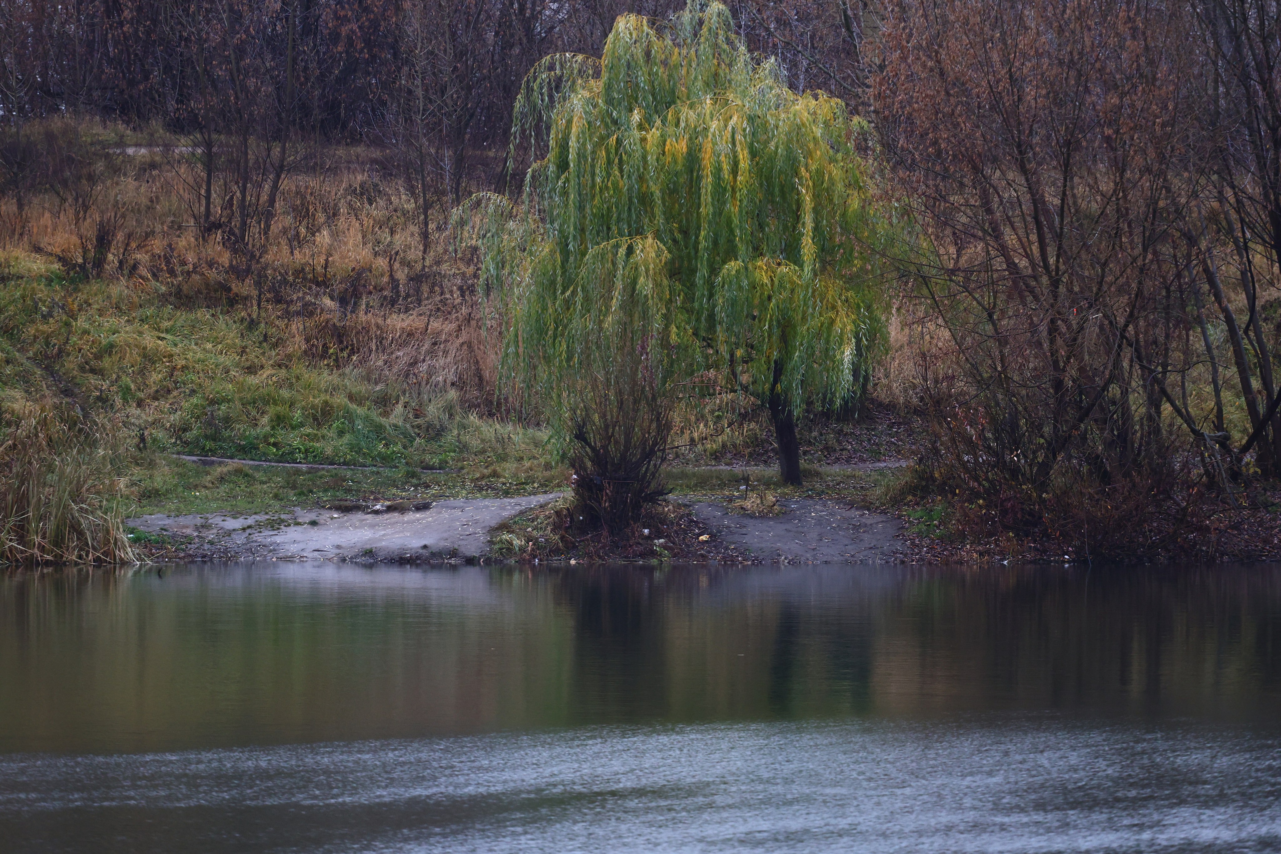 5 вёрст Мещерское озеро. 182 й старт. Фотограф. Спорт, репортаж, предметная съемка