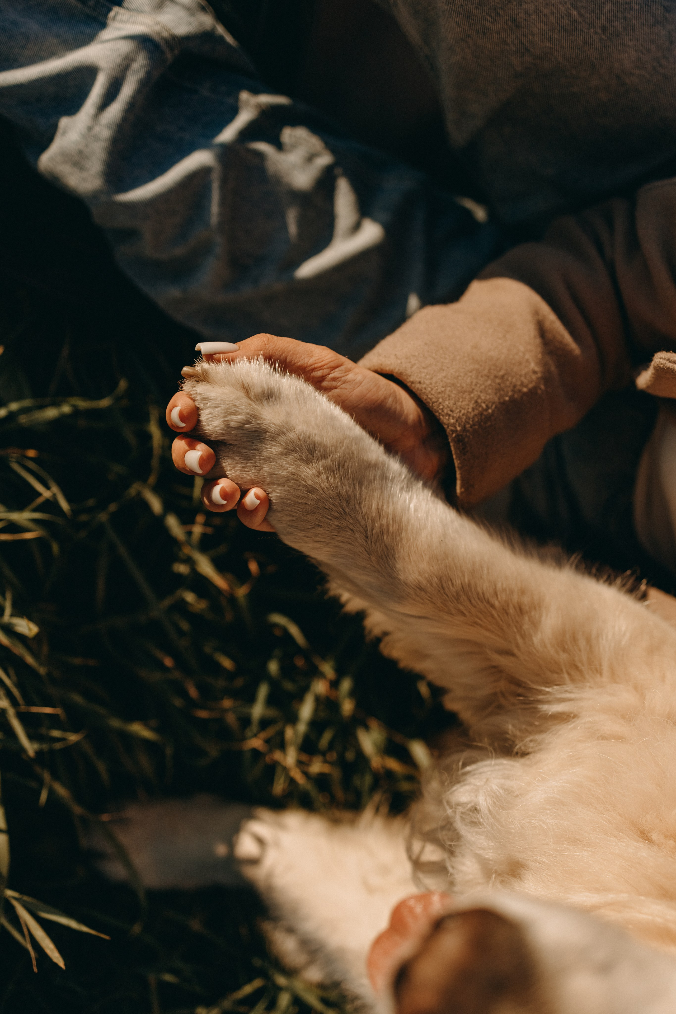 Лера и Скай. Фотограф — Анималист | Санкт-Петербург