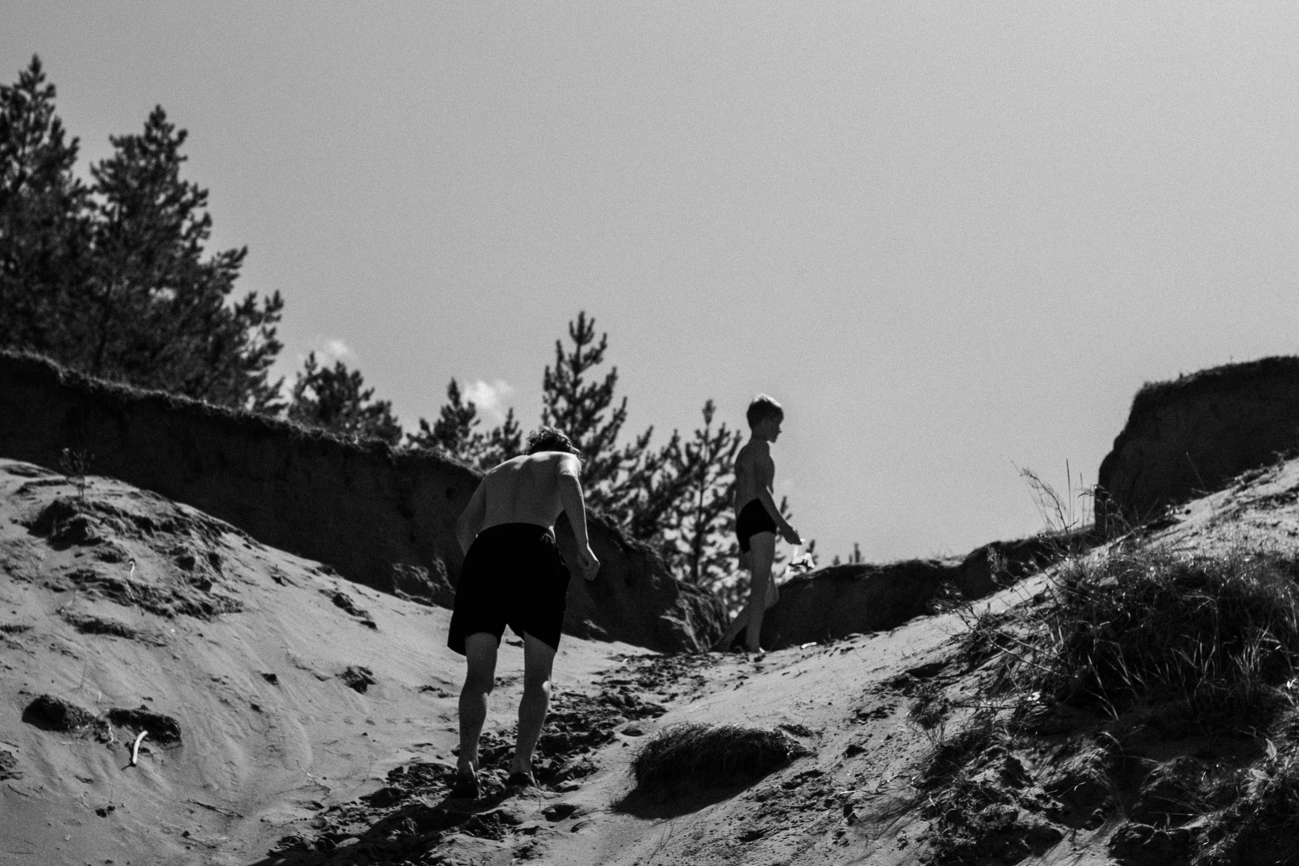 Мария Колесникова