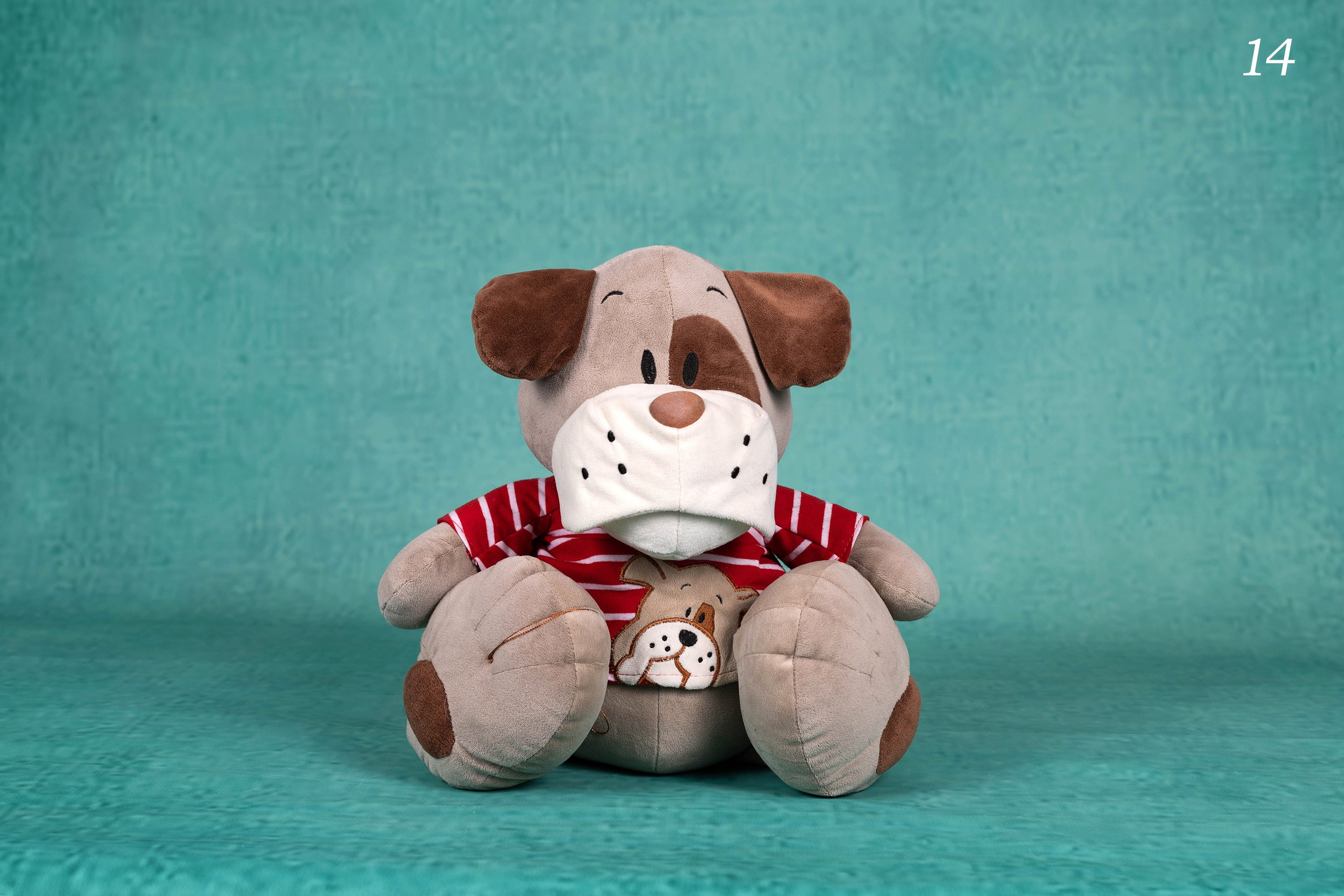 Фоны спектра радуги. Фотограф-анималист в Омске Екатерина Маричева