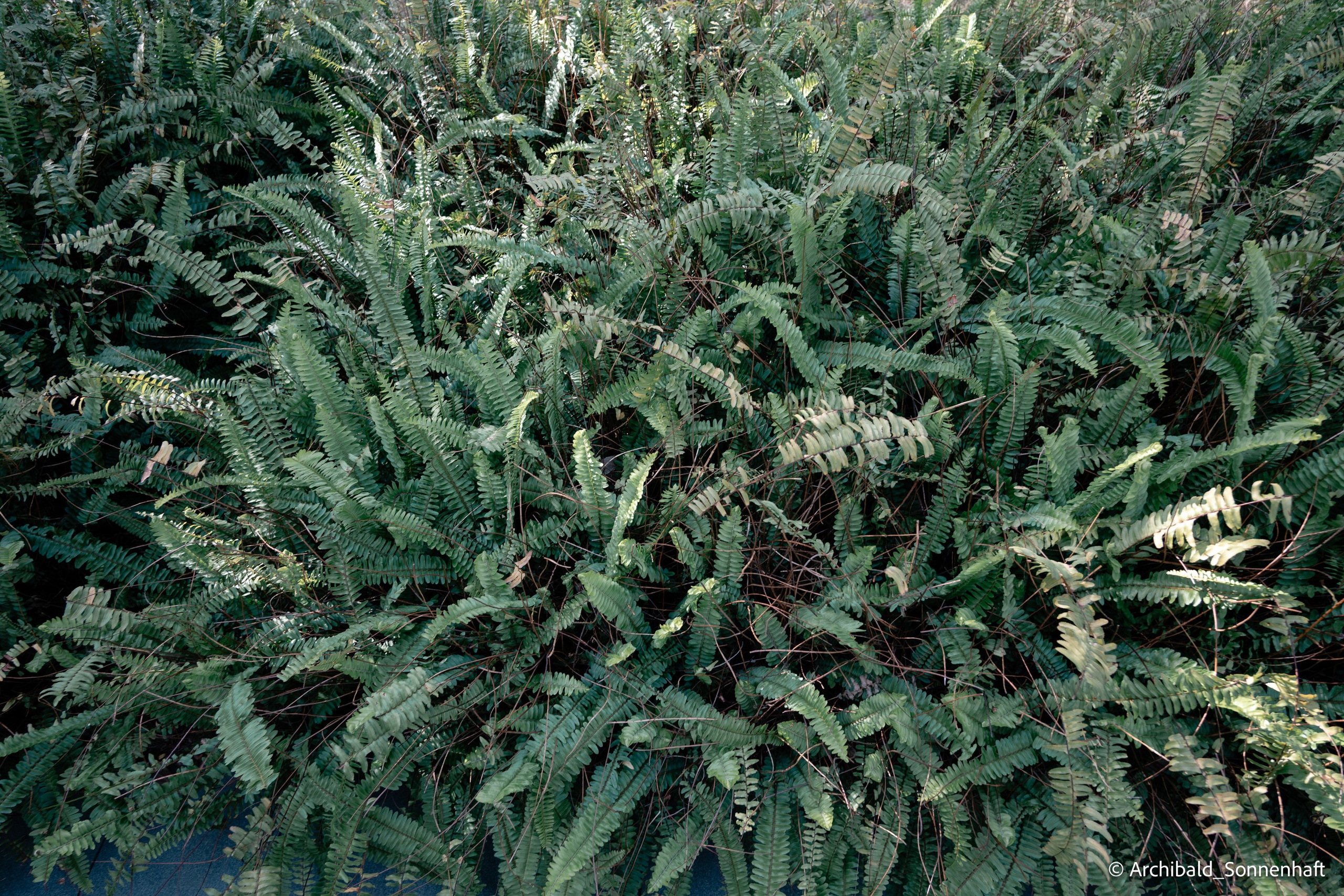 He Art Museum in GZ. Photographer in Guangzhou, China. Archibald Sonnenhaft