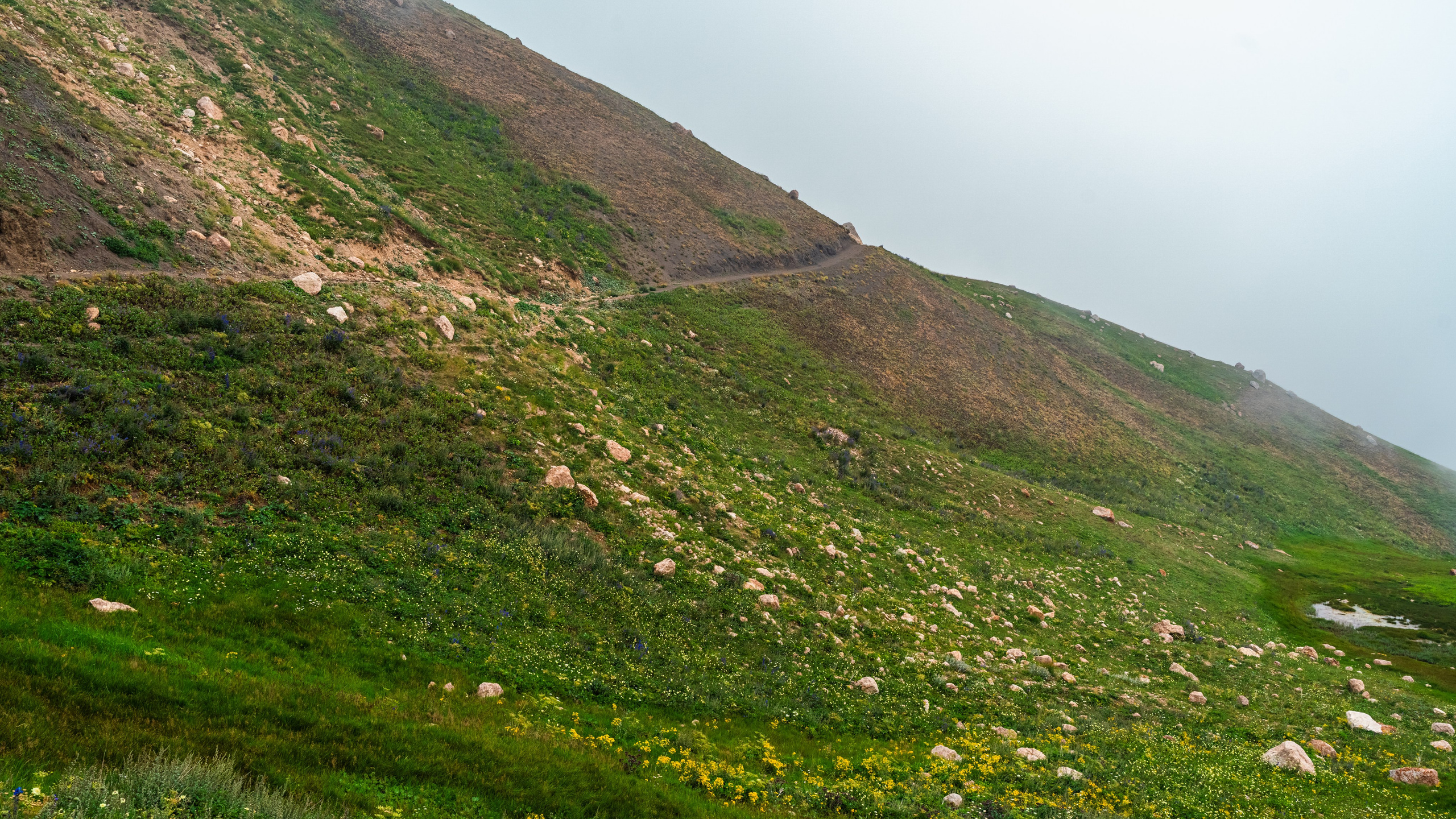 Дагестан. Фотограф в Москве. Шахабудин