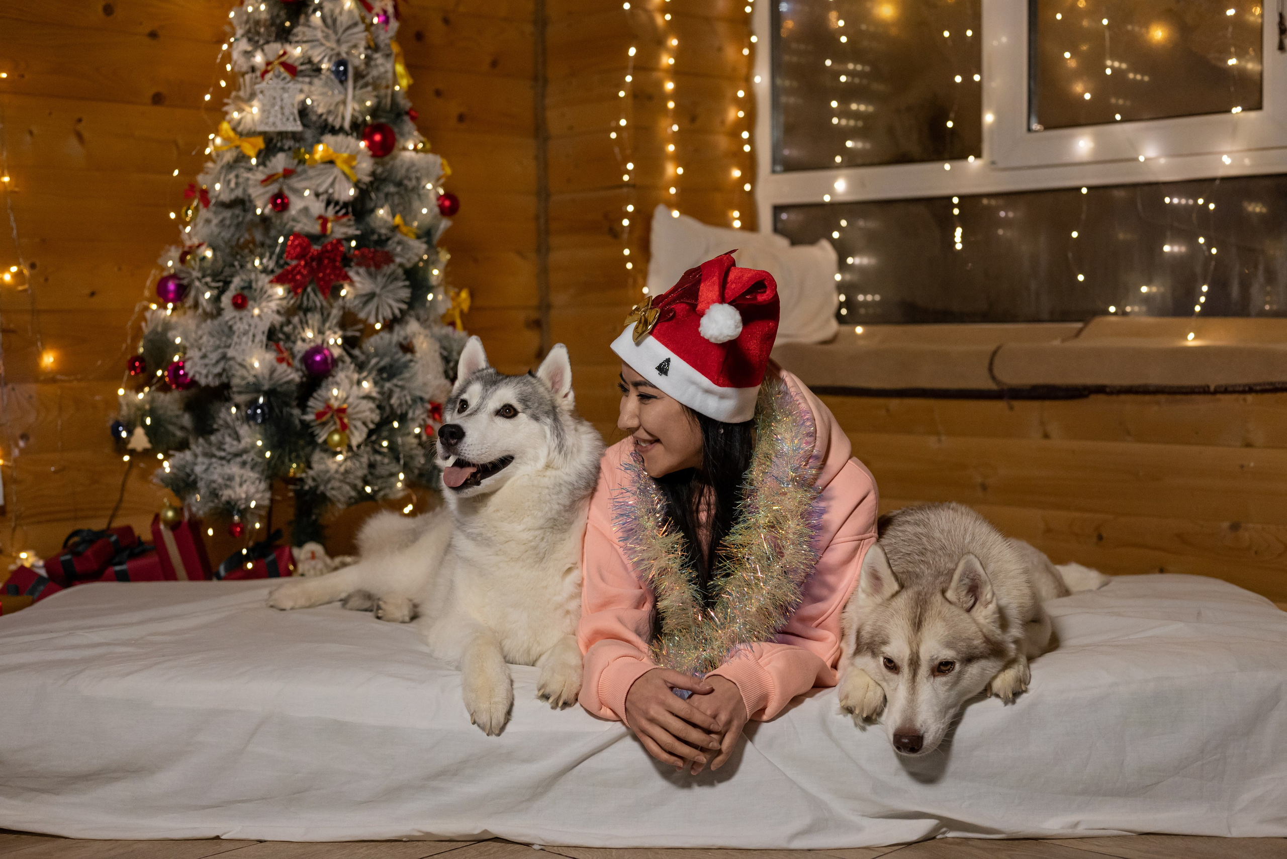 Фотопроект с хаски 2025 г. Фотограф в городе Салават