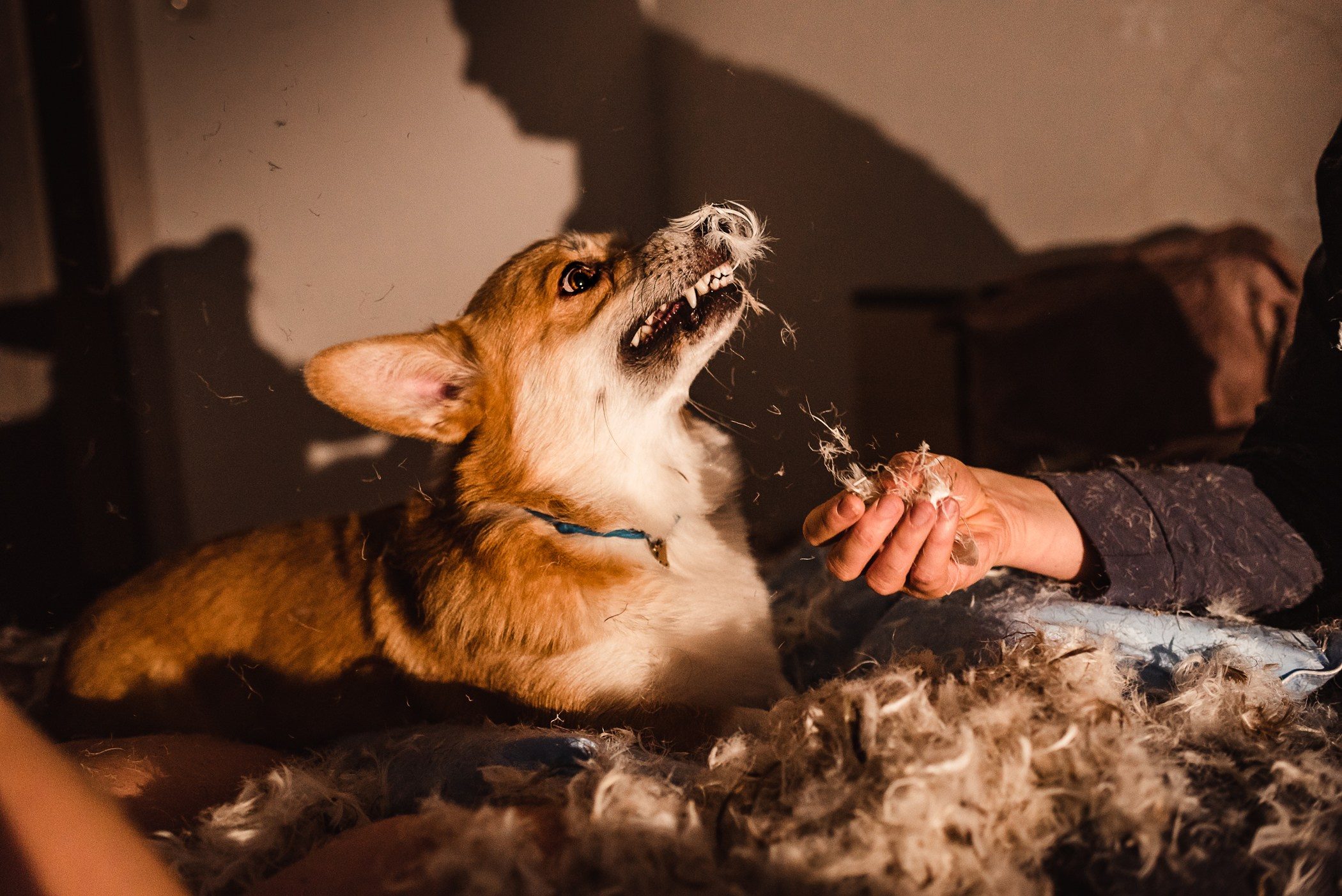 Пижамная вечеринка Тани и Димы. Семейный Фотограф в Москве Ирина Хохлова