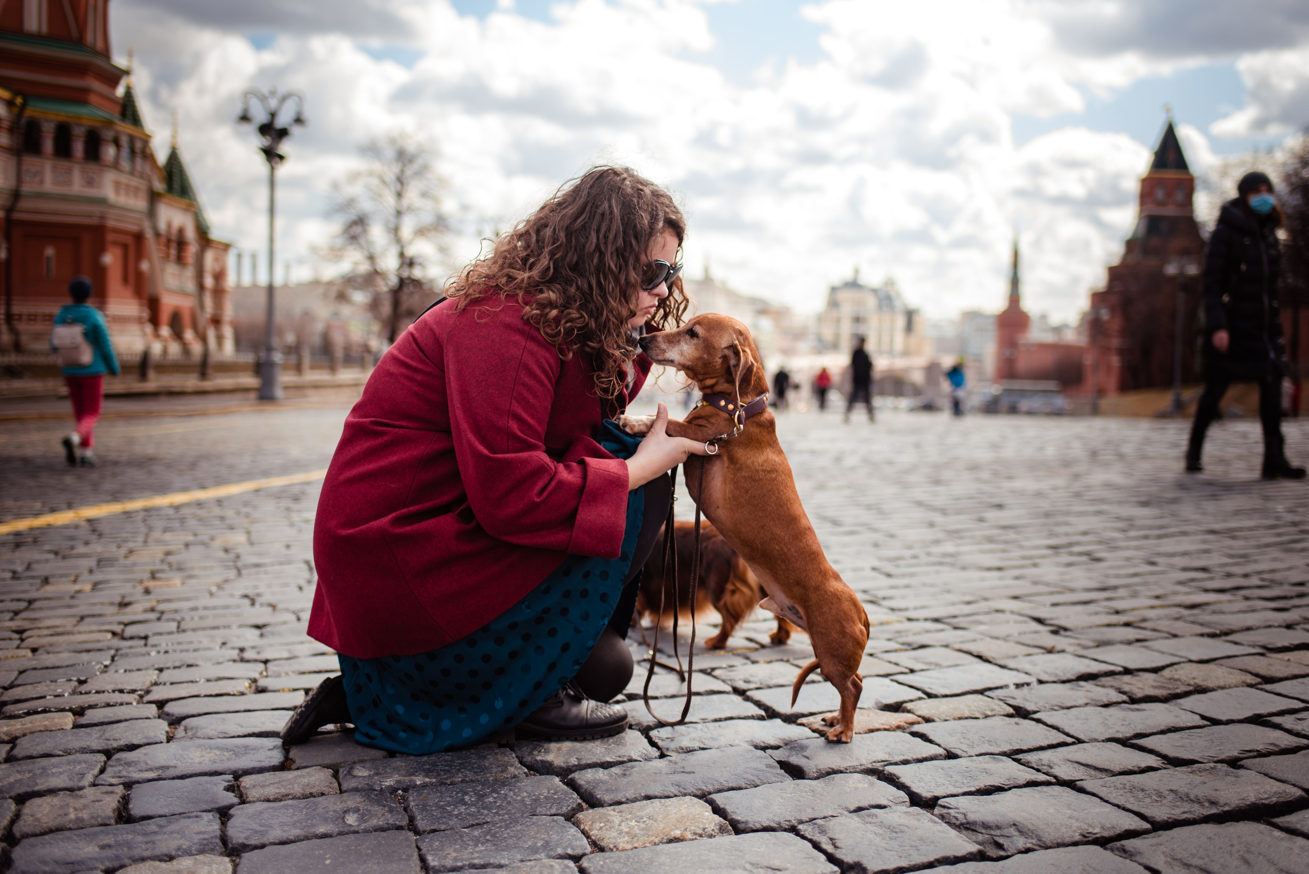 Таксы на Красной площади. Семейный Фотограф в Москве Ирина Хохлова