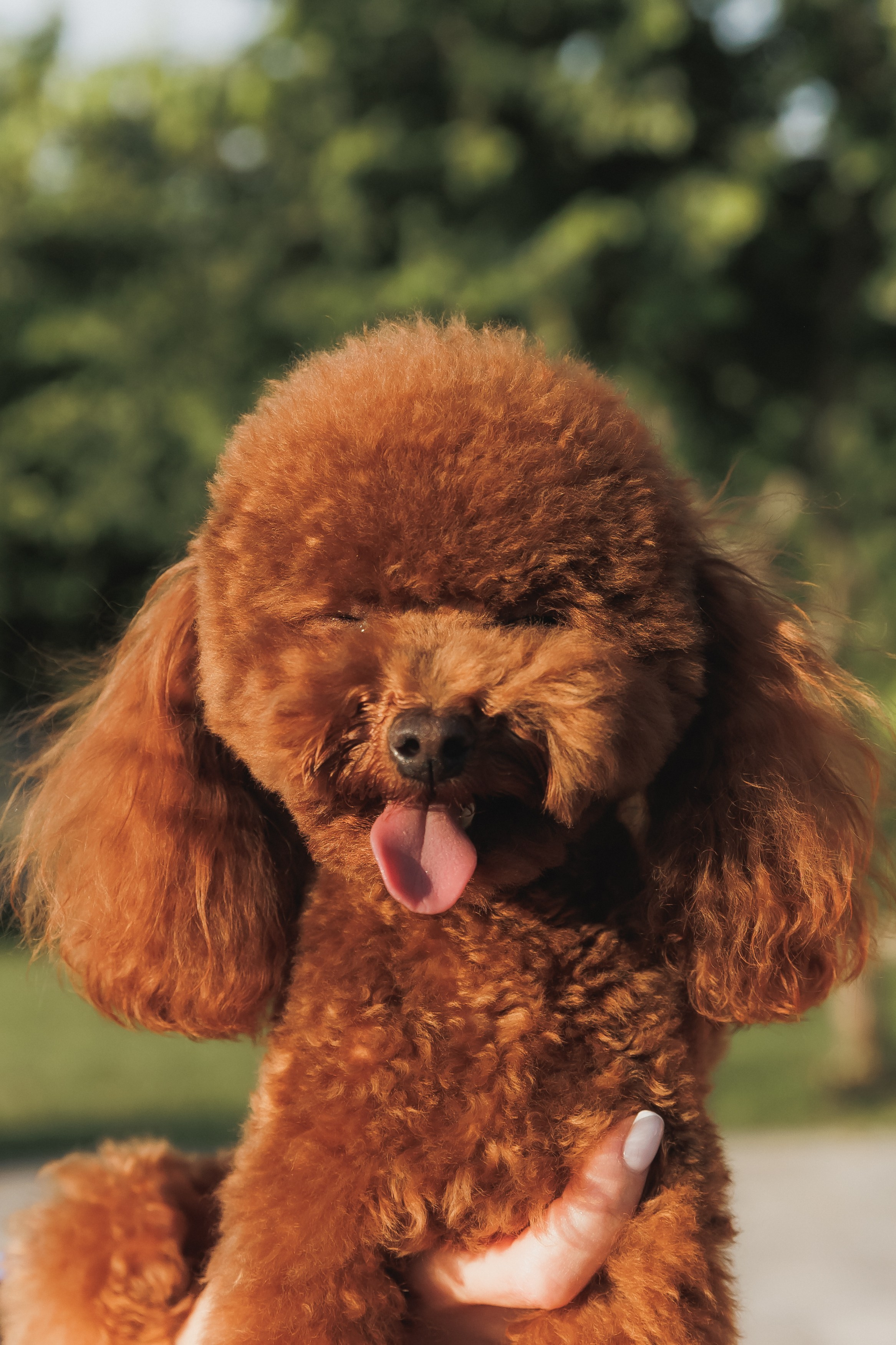 Платону 10!. Фотограф в Волгограде — Александра Искандерова