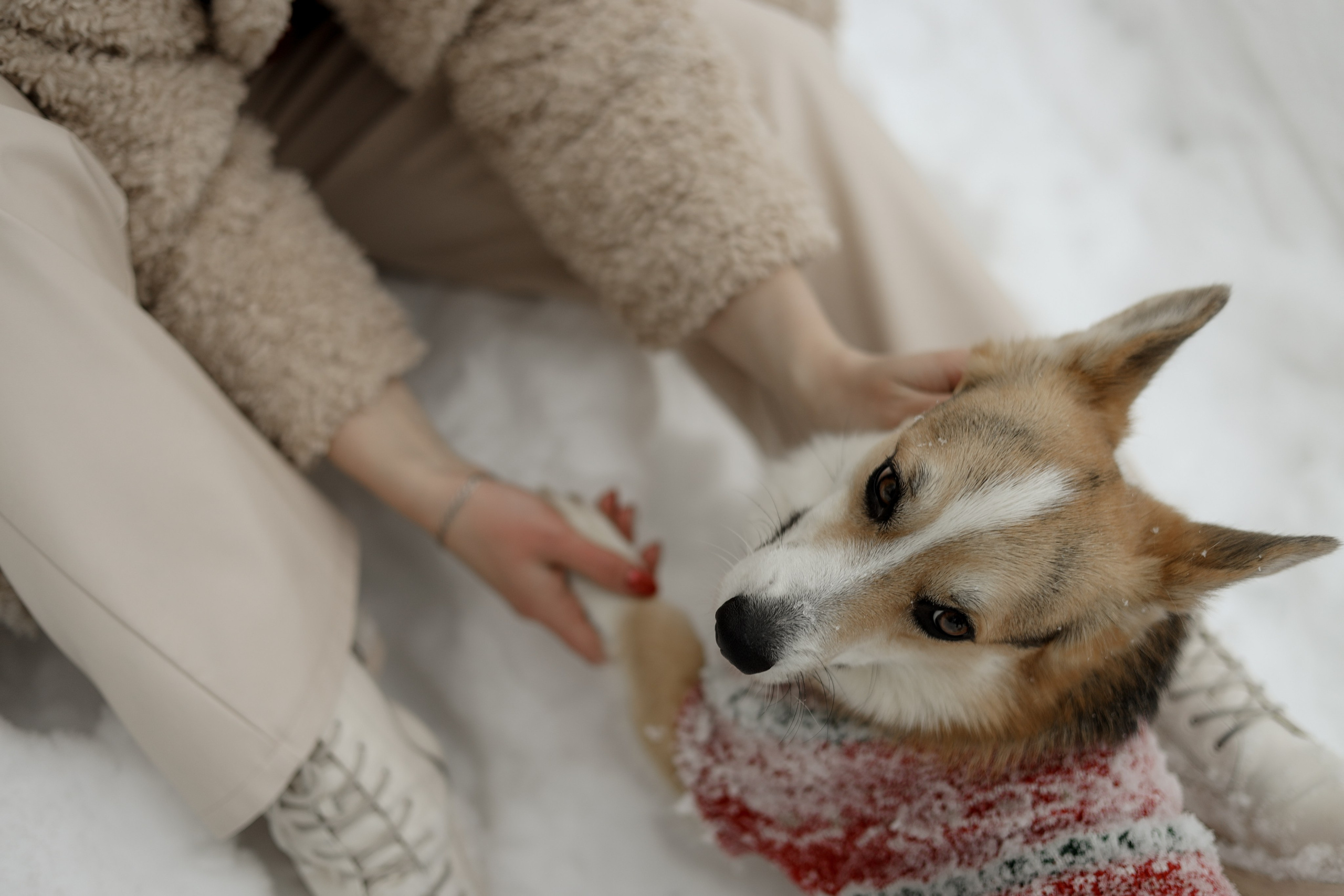 № 2. Photographer Tatiana Ivanova in Yaroslavl