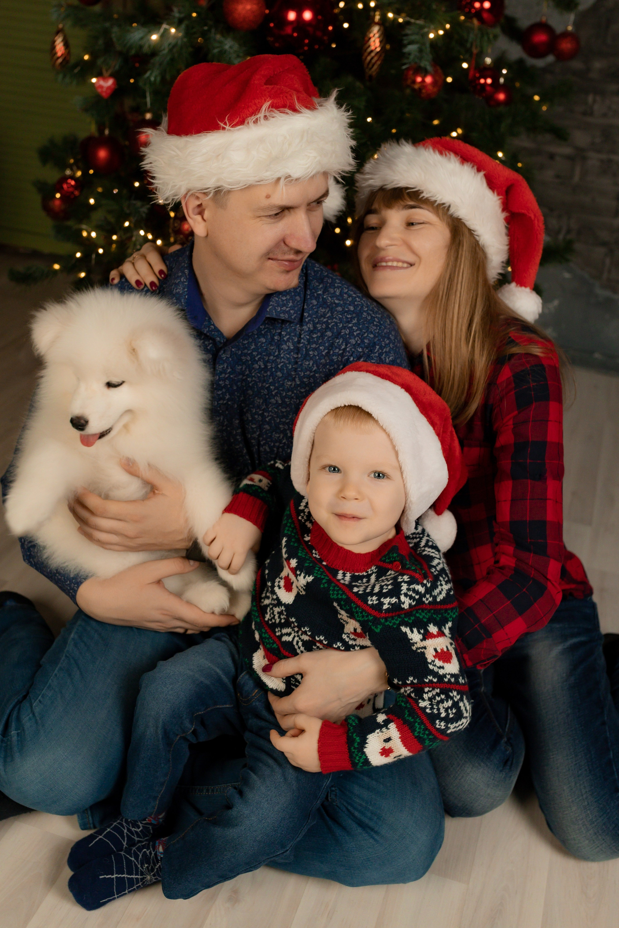 Новогодние съёмки. Интерьерная фотостудия в г. Барнаул