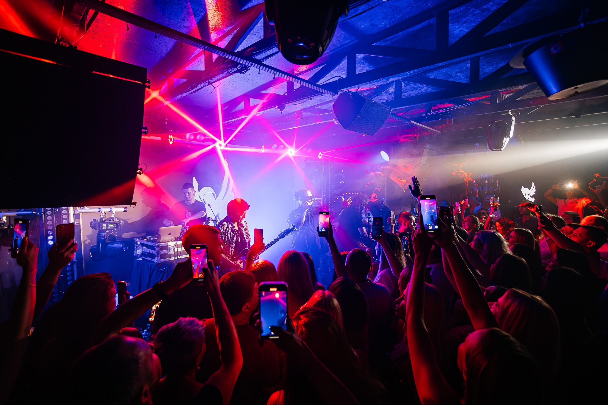 Бурито_Чайка_на_пляже_Ялта 23.08.2024. Аминов Руслан | Фотограф