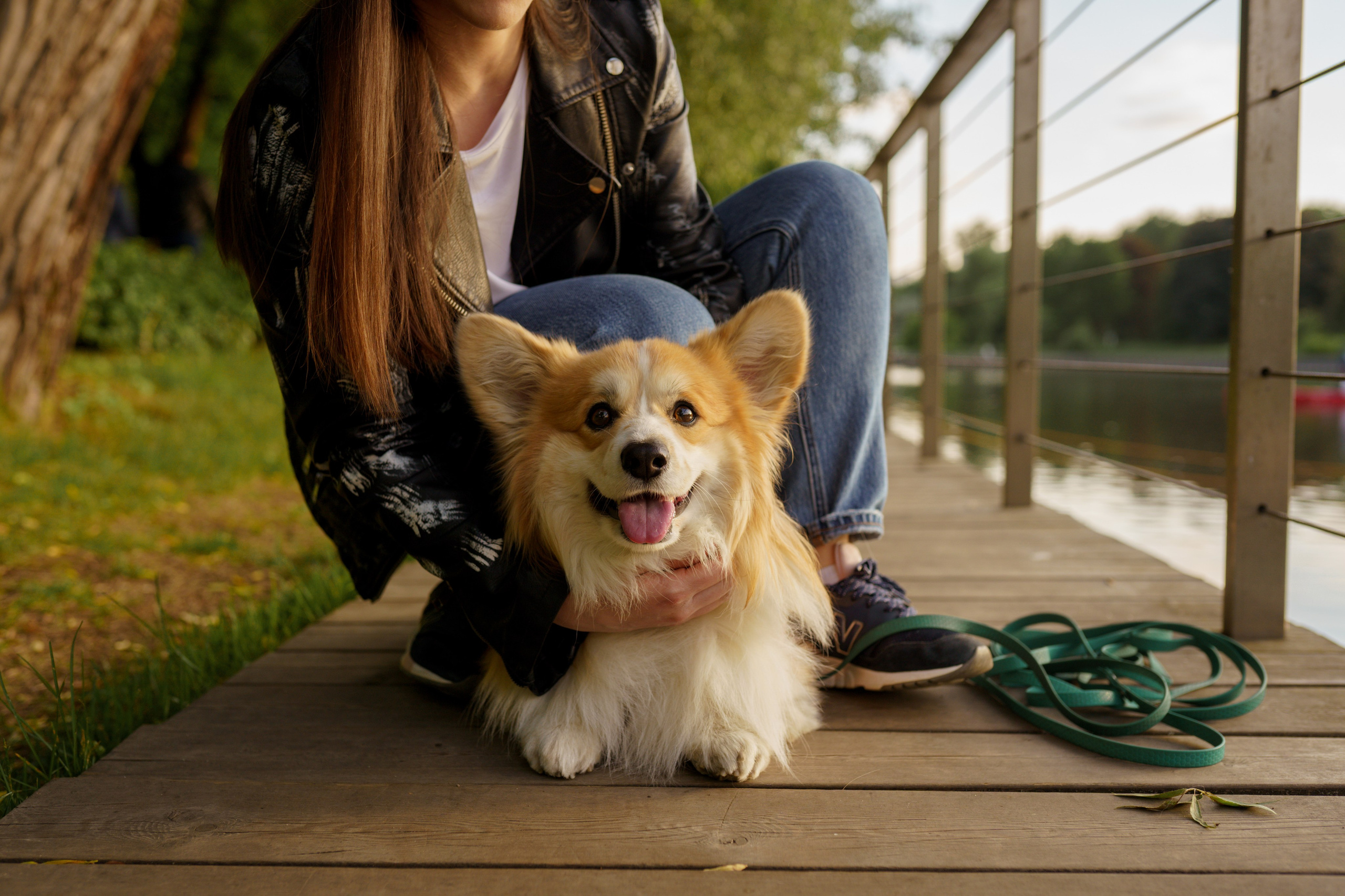 Катя, Арсений и Пух. Свадебный фотограф в Москве Анна Полушина