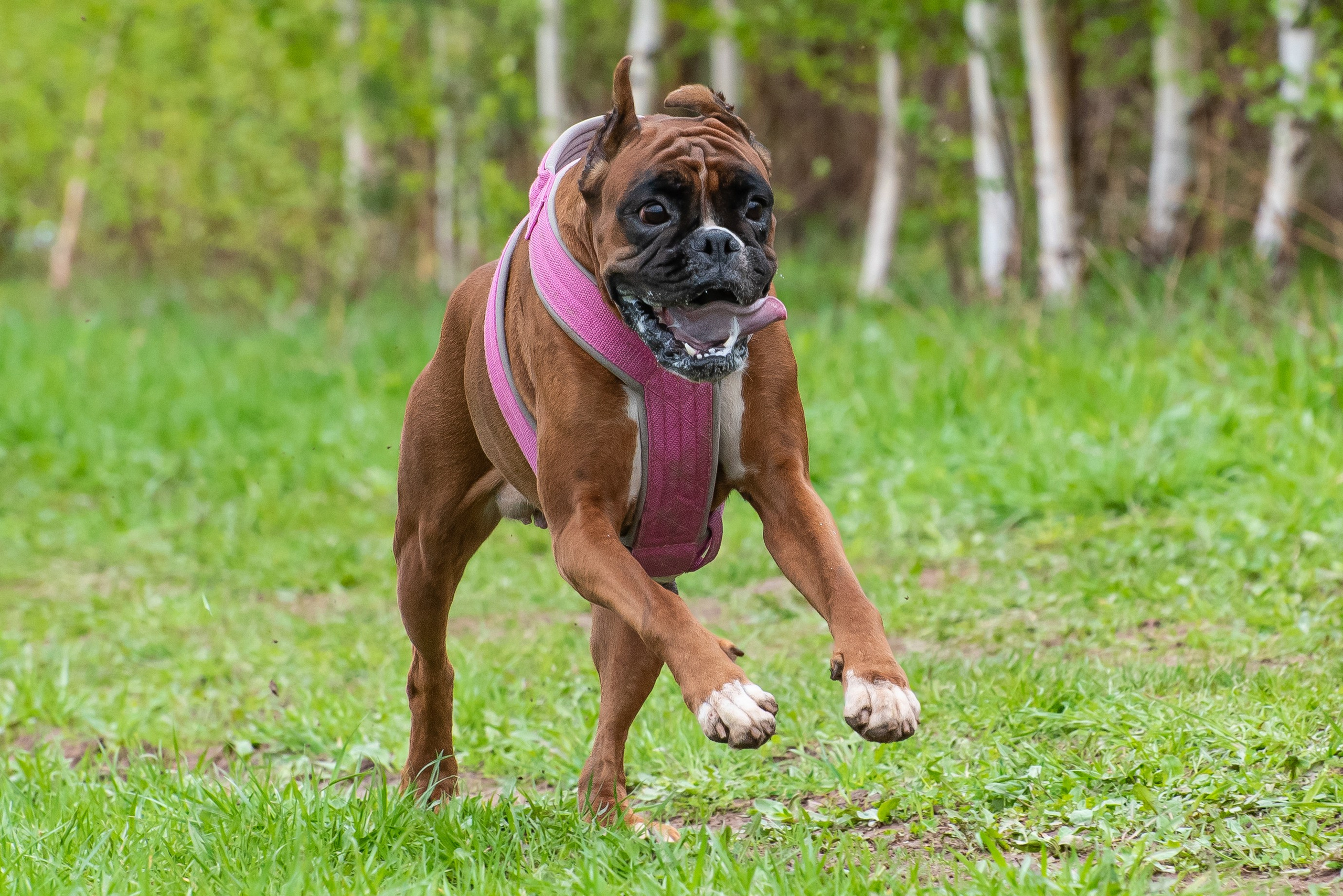 Фотографии с Курсинга. Фотограф Макс Огурцов в Нижнем Новгороде