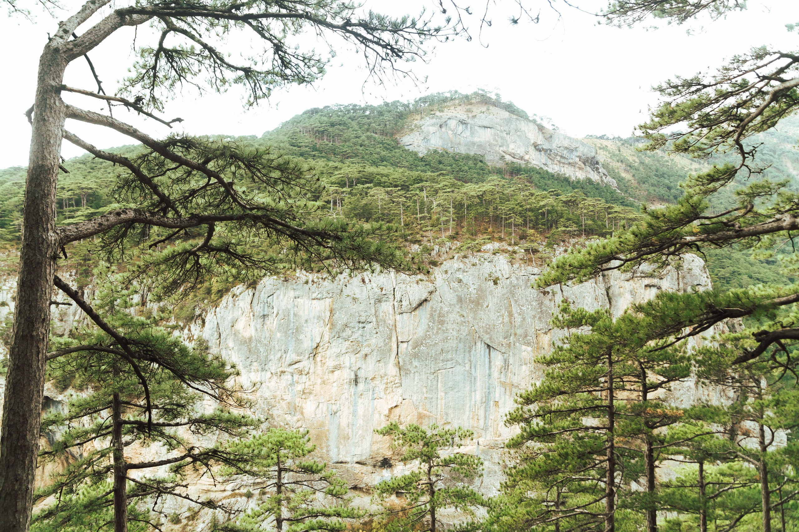 Много гуляли. Семен Соколов