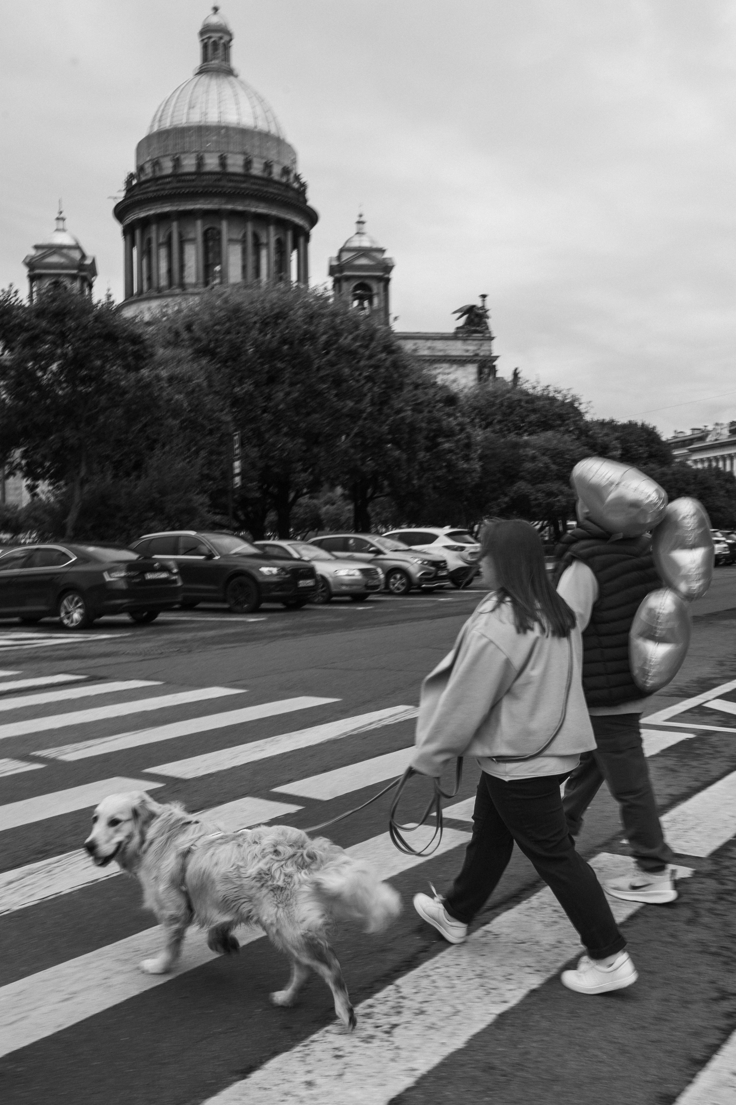 Бетти и ее семья. Фотограф — Анималист | Санкт-Петербург