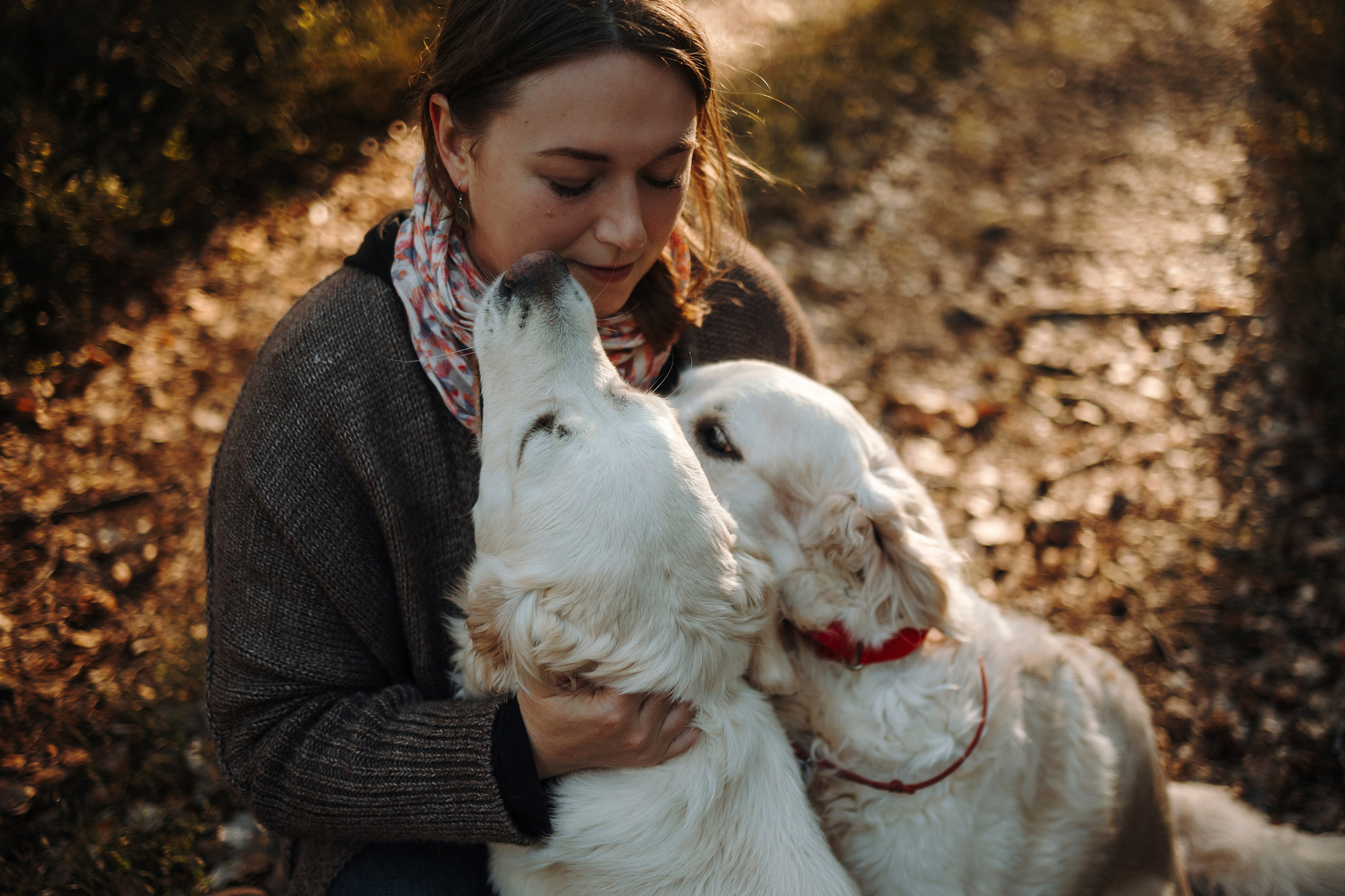 Катя и ее девочки. Фотограф — Анималист | Санкт-Петербург
