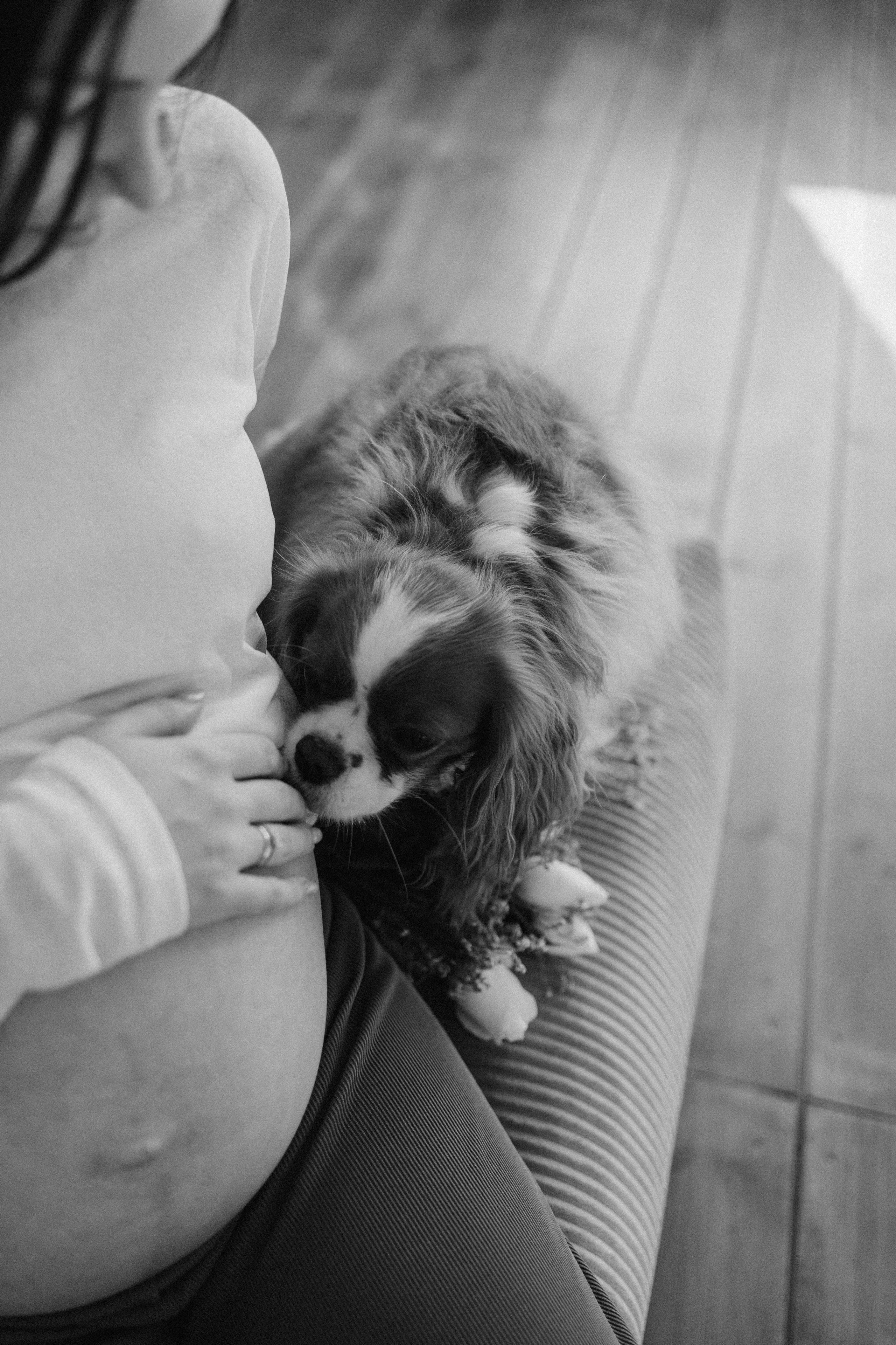 Шерри и ее семья. Фотограф — Анималист | Санкт-Петербург