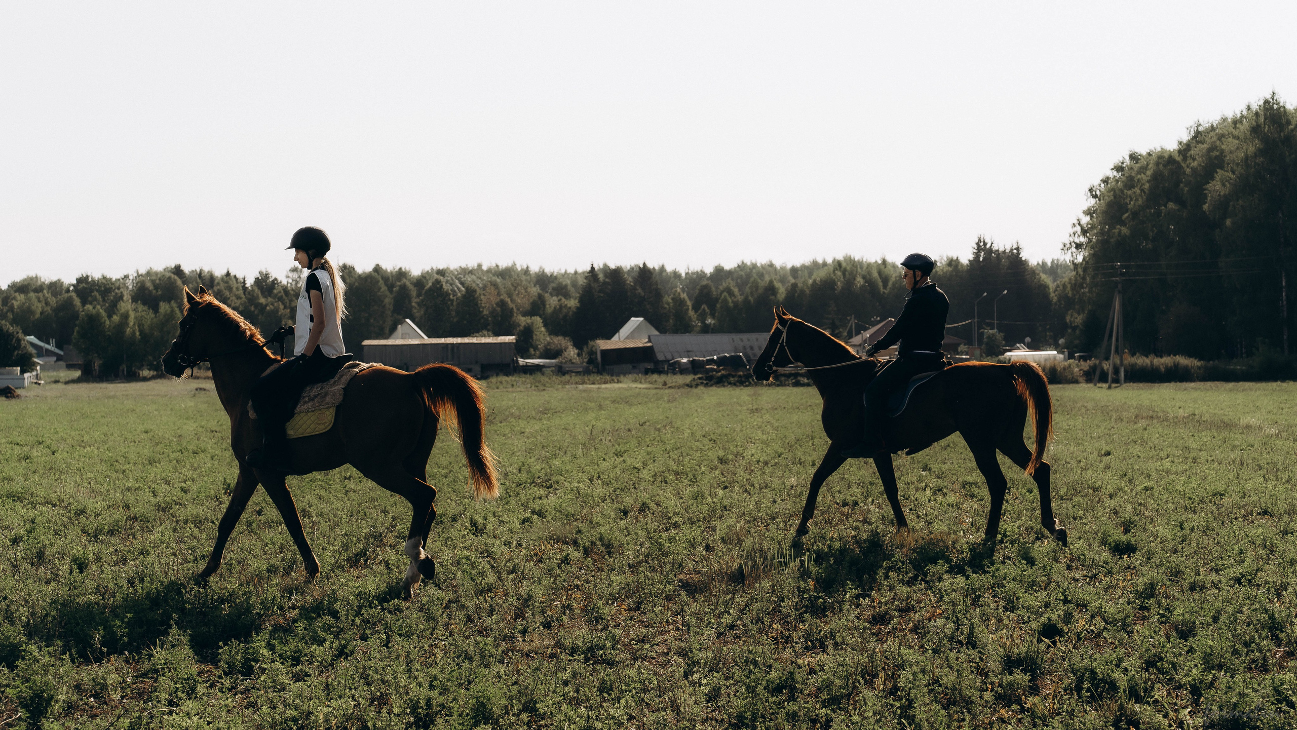 День Коня. Алиса Никитцова | Фотограф в Казани