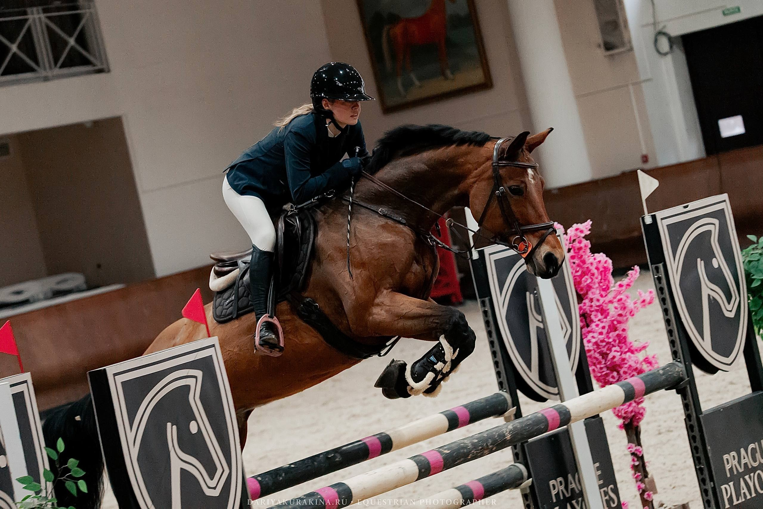 КУБОК ВУЗОВ. ФИНАЛ — КСК «ВИВАТ, РОССИЯ!». Куракина Дарья • Конный фотограф