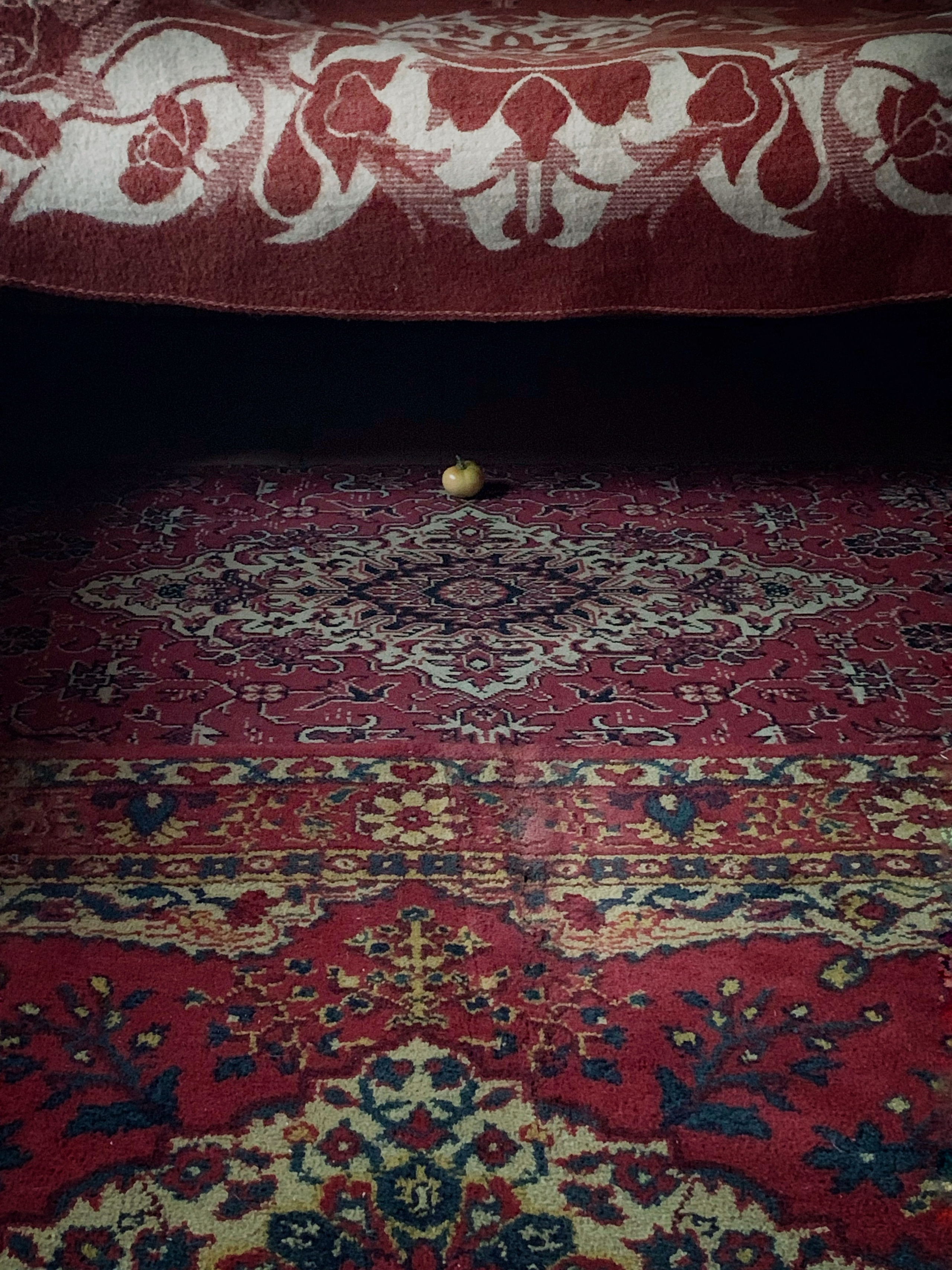 2020. Тащилин Сергей. Фотографии. Жизнь. Хобби