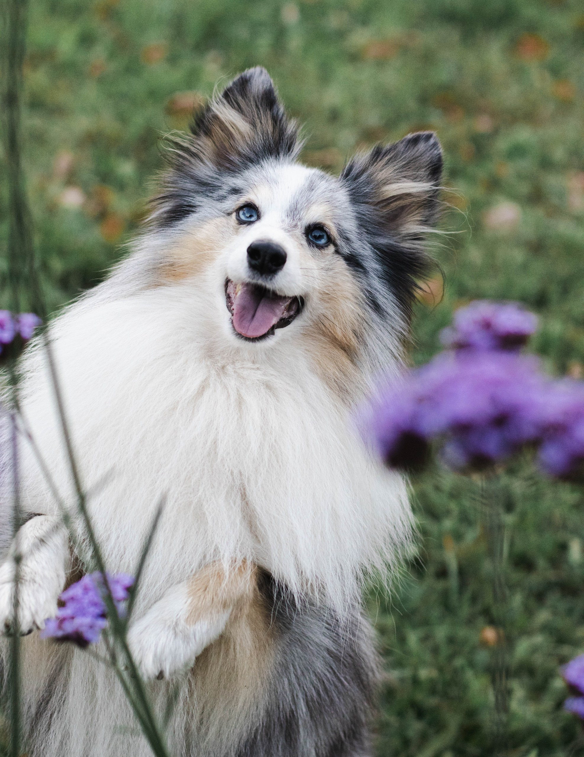 Маша & Аки. Фотограф в Москве Ксюшенька