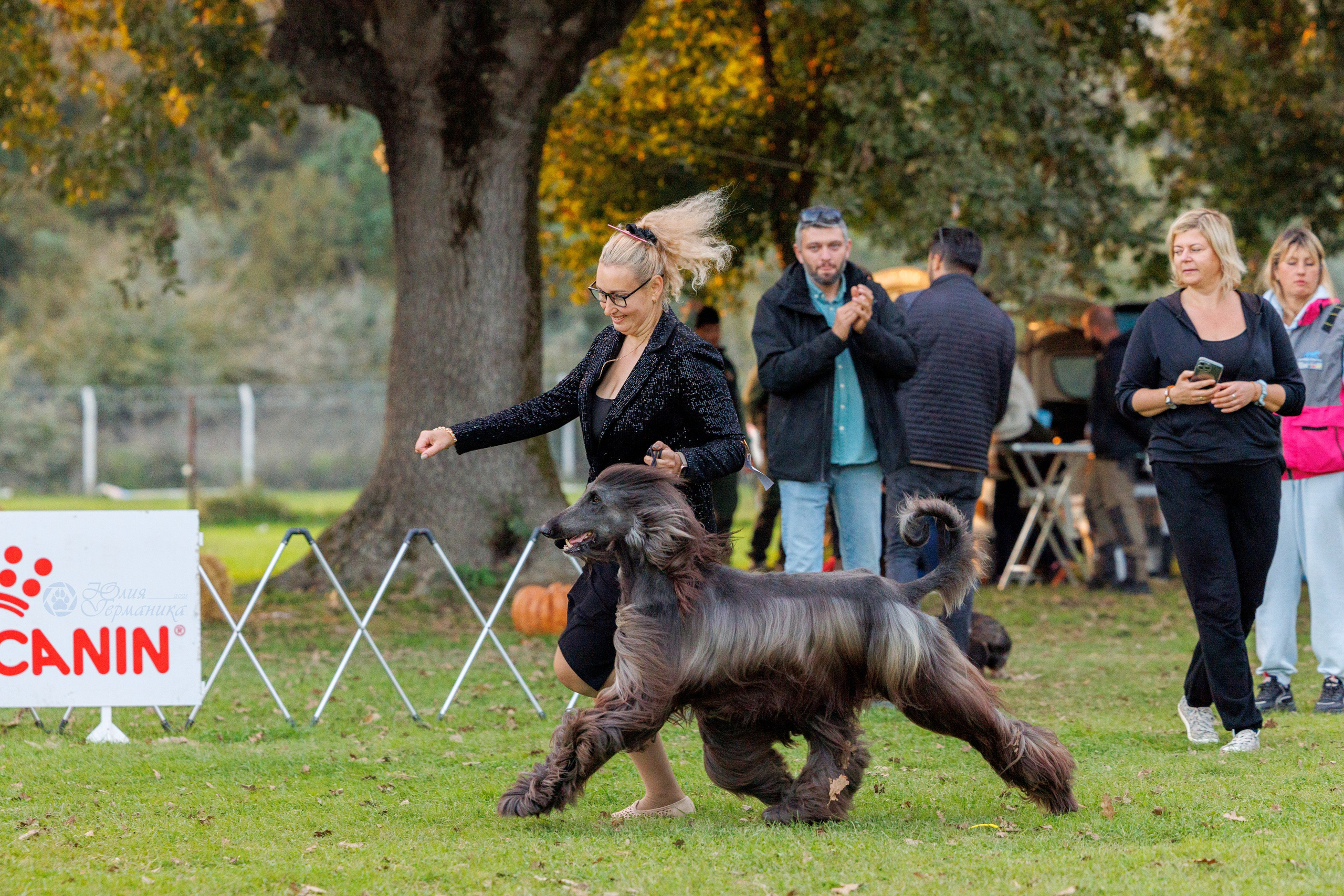 Туция,Стамбул 2хCACIB 26-27.10.24. Фотограф-анималист Юлия Германика