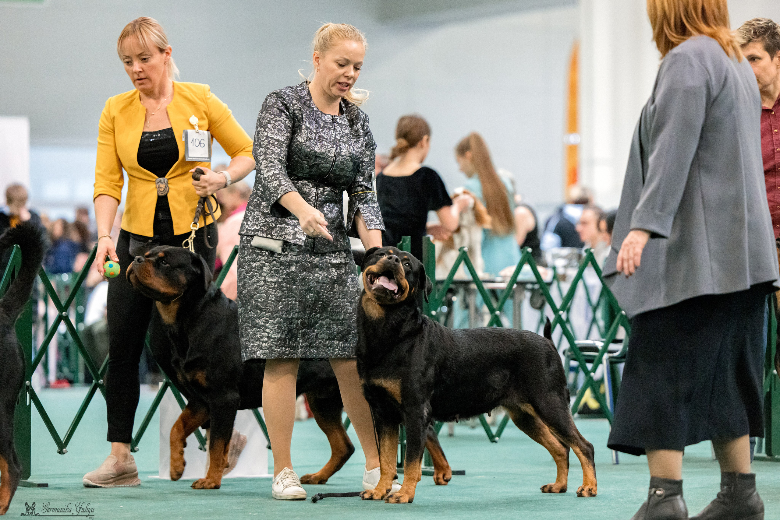 Сфера 29.10,Крокус 4.11,Сфера 12.11.2023. Фотограф-анималист Юлия Германика